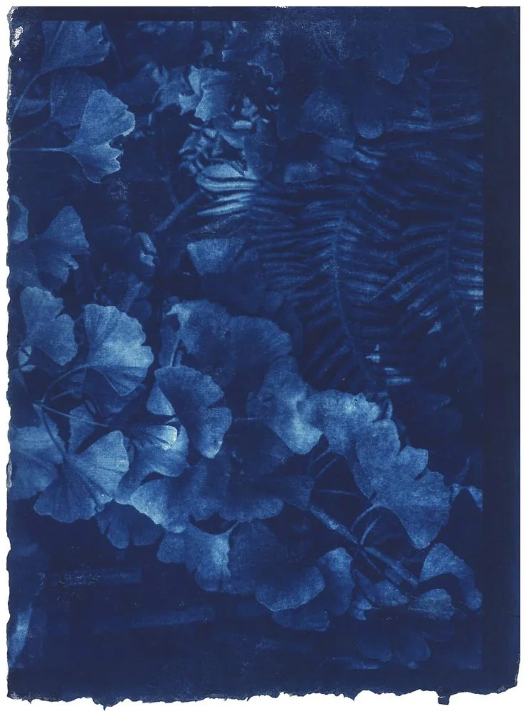 Cyanotype_Blue_web_2.jpg