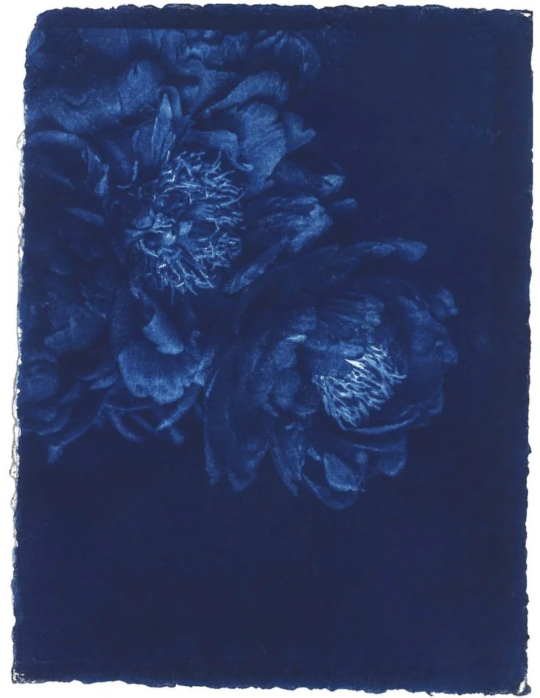 Cyanotype_Blue_web.jpg