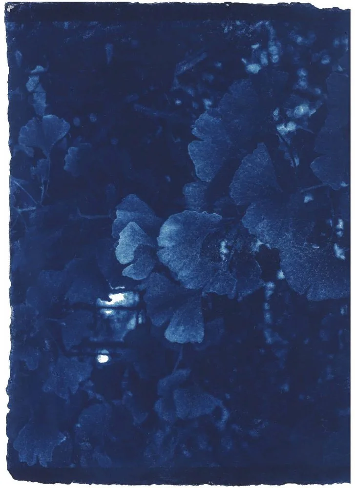 Cyanotype_Blue_web_3.jpg
