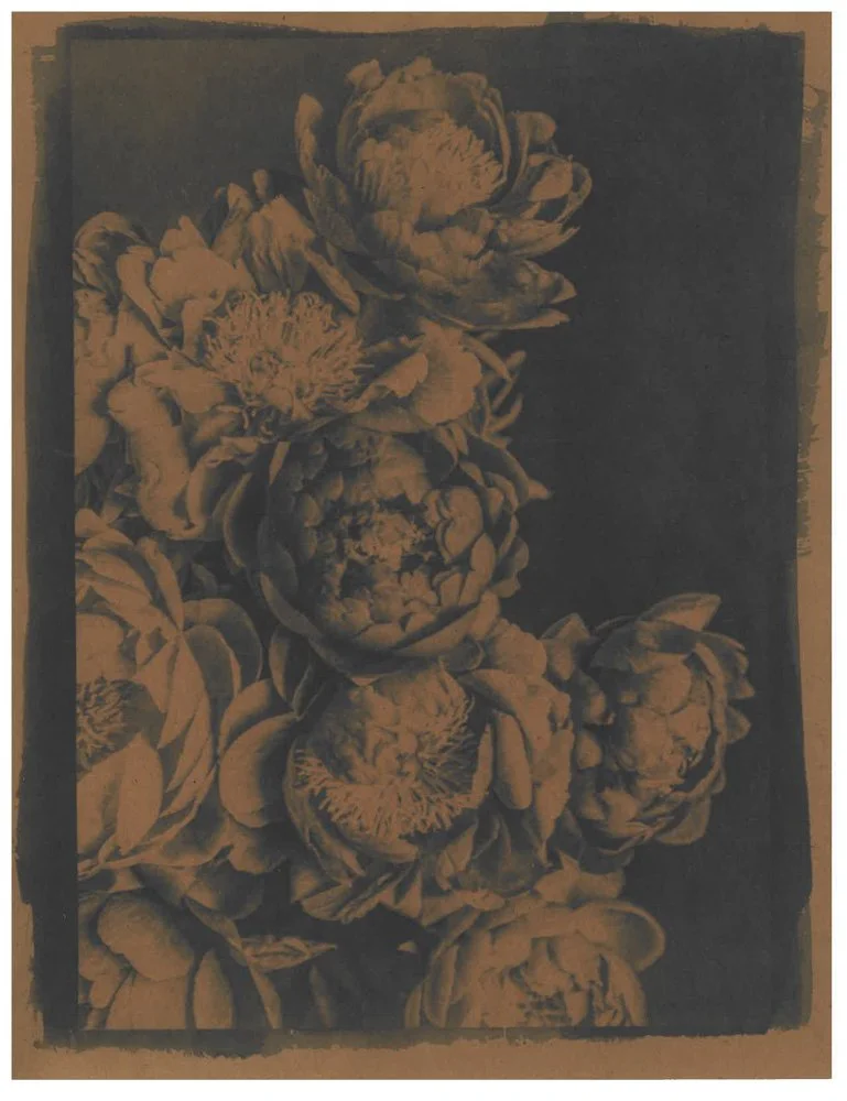 Cyanotype_Sepia_web_2.jpg