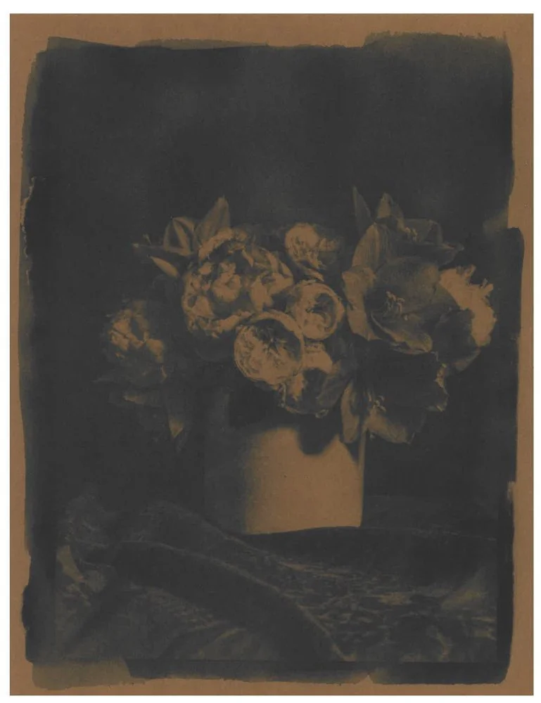 Cyanotype_Sepia_web_3.jpg
