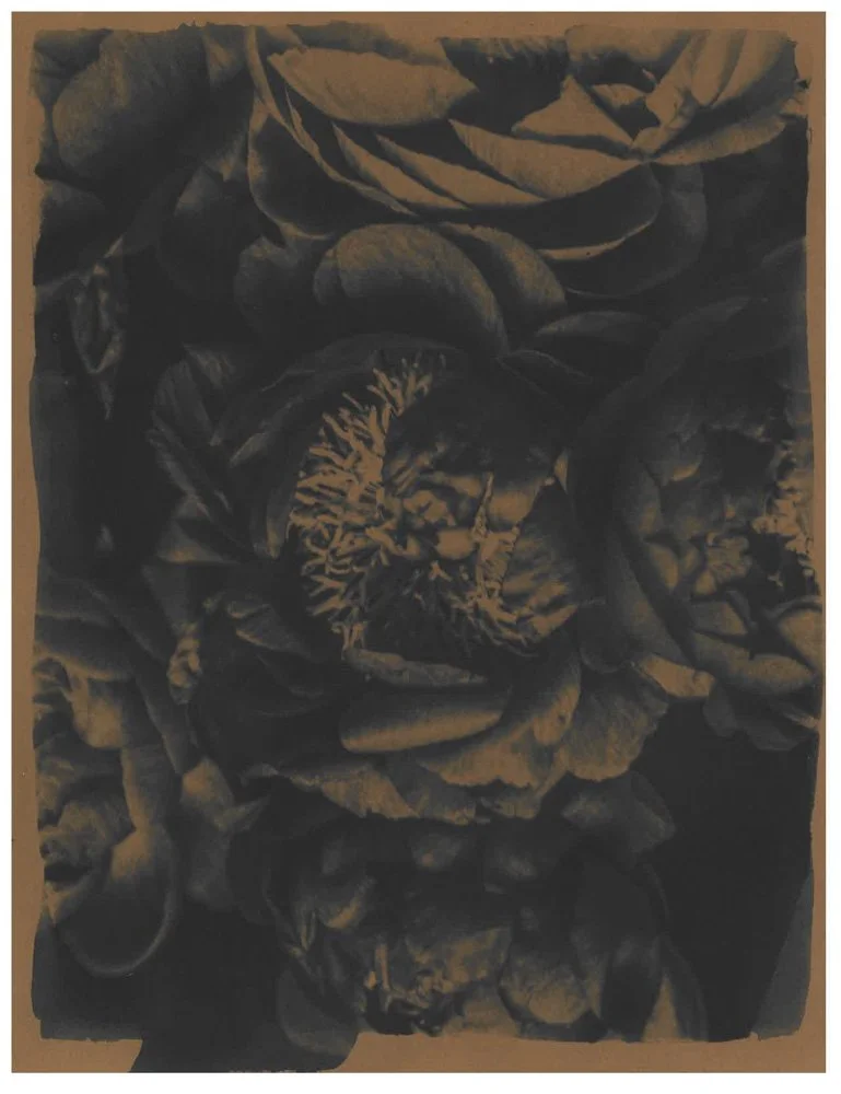 Cyanotype_Sepia_web_5.jpg