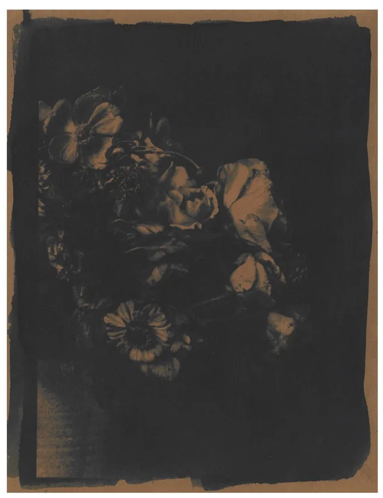 Cyanotype_Sepia_web_7.jpg