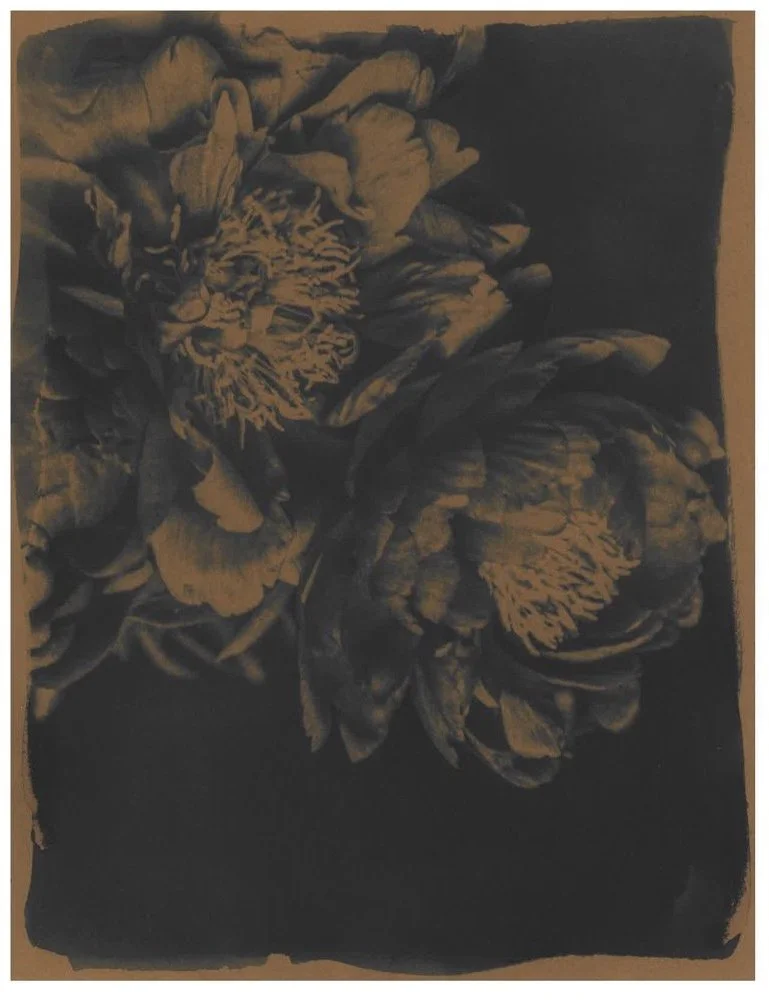 Cyanotype_Sepia_web_6.jpg