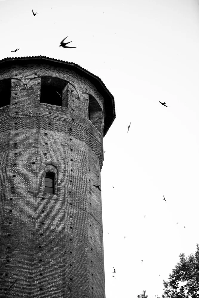 Turin_tower_web.jpg