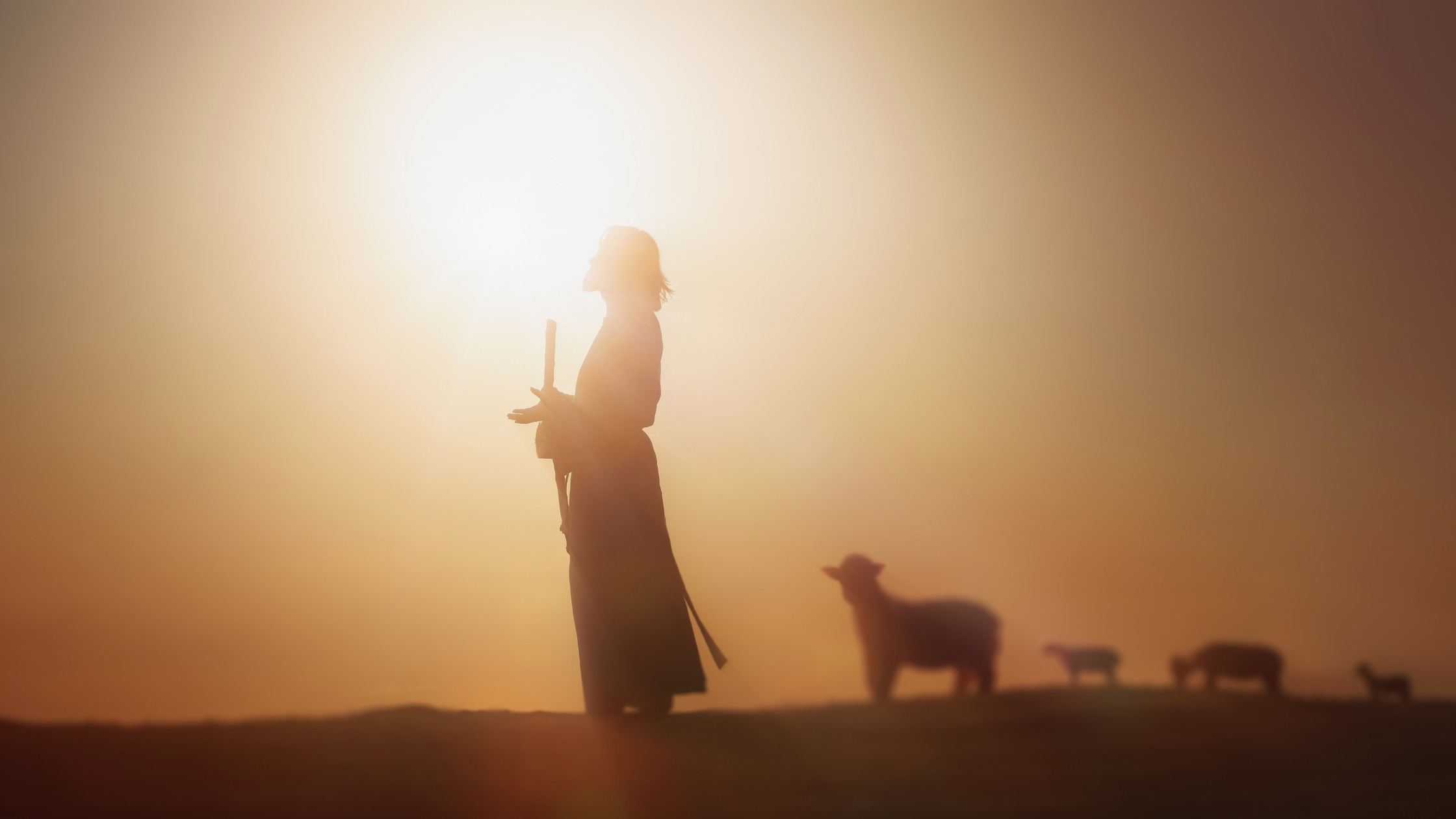 4th Sunday of Easter 