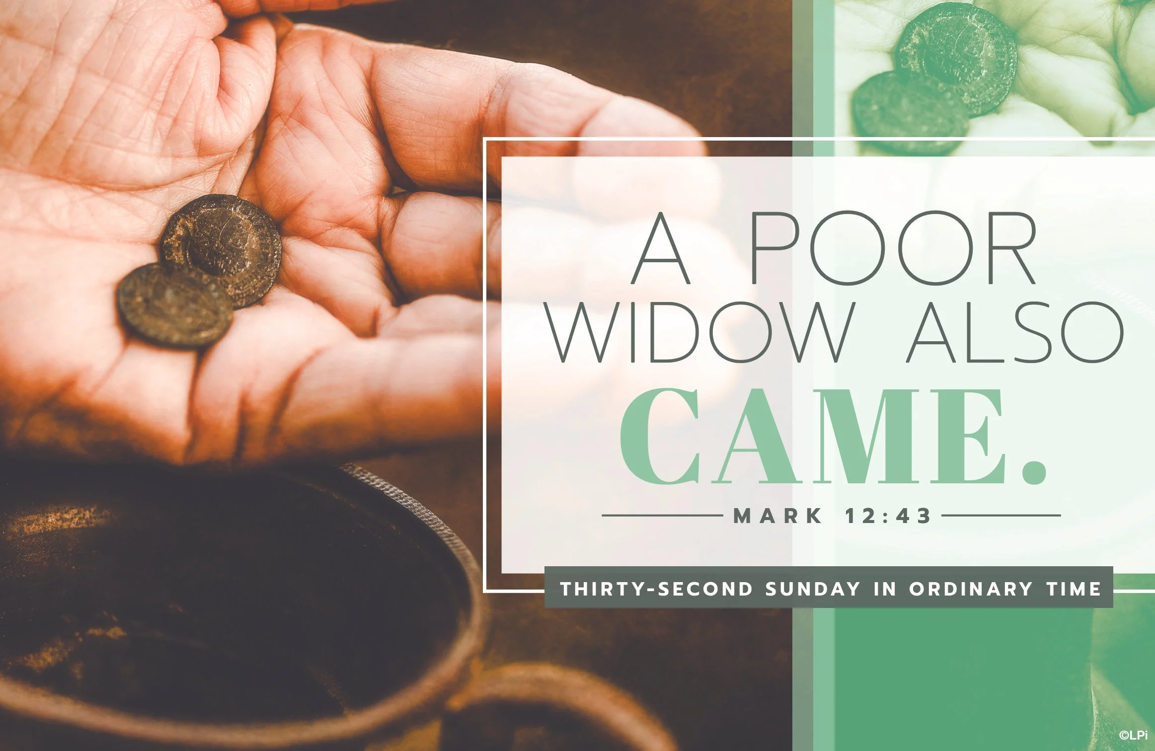 32nd Sunday in Ordinary Time 