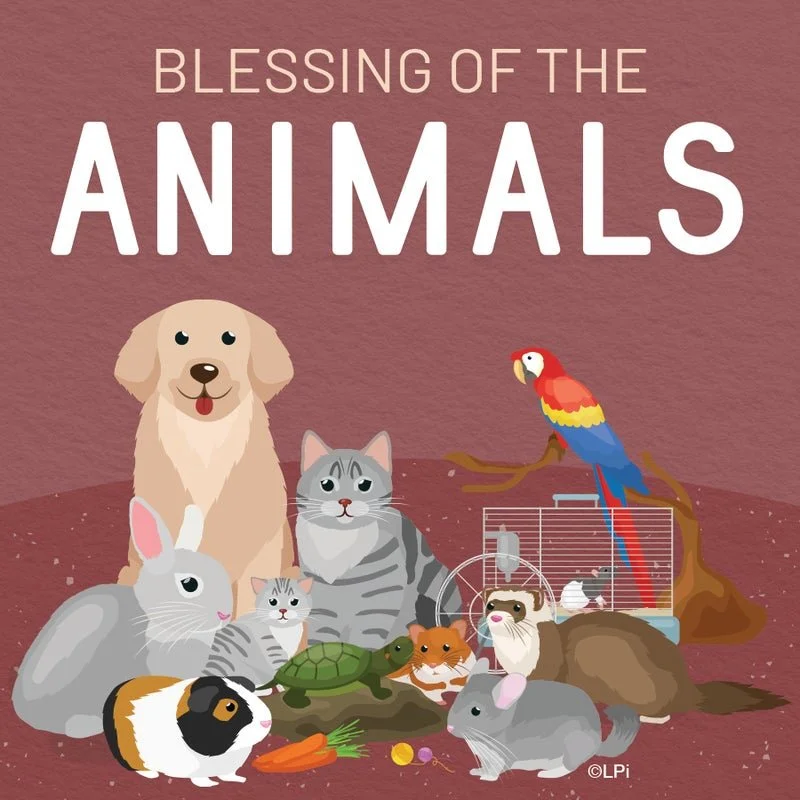 Blessing of the Animals