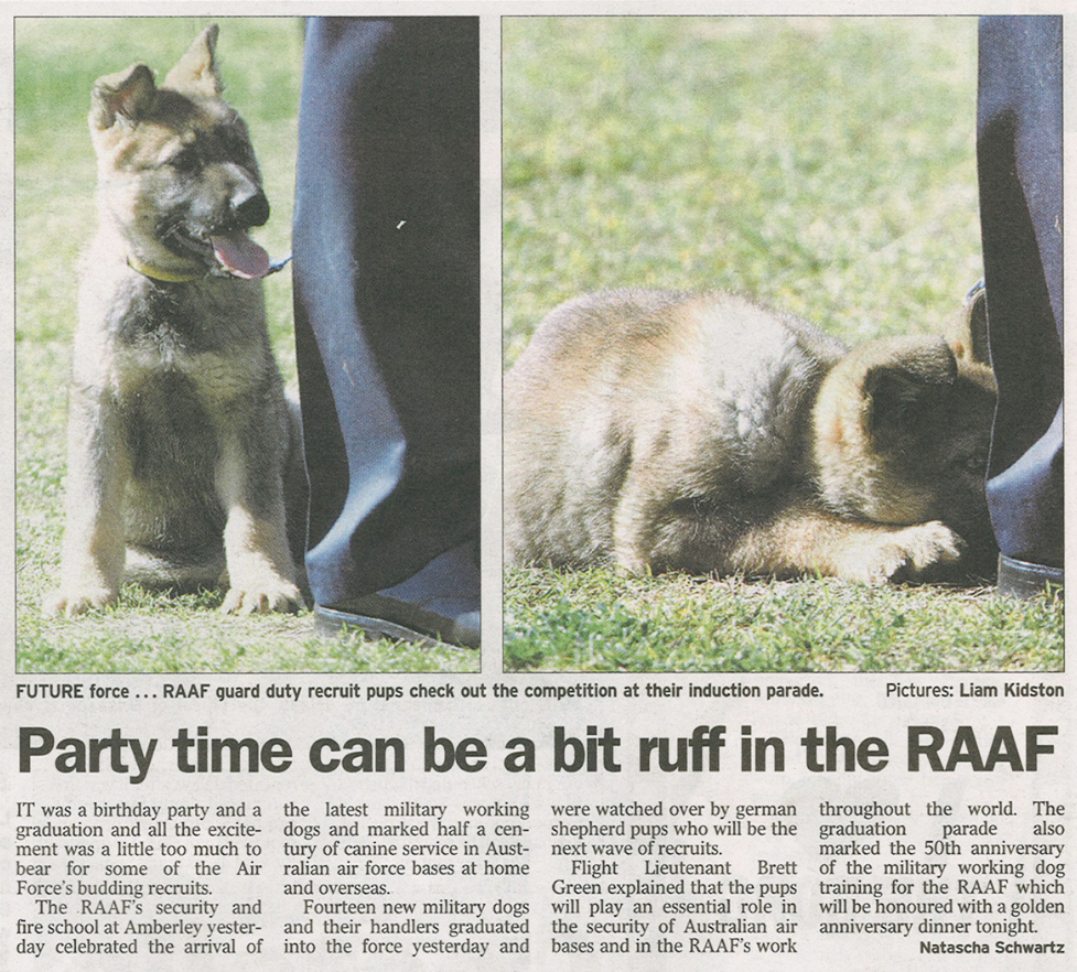 Newspaper Article 2.png