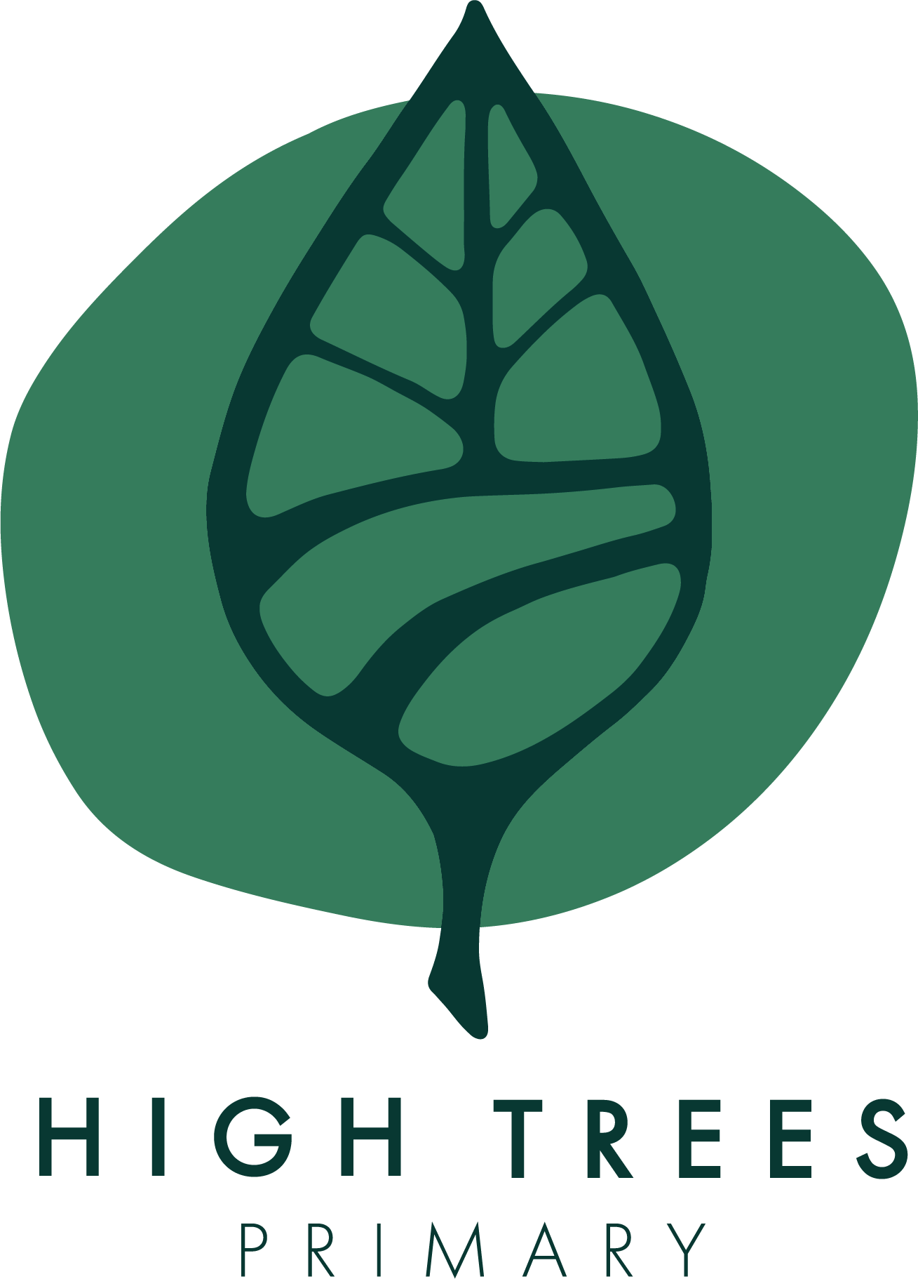 Tree Primary Source High Trees Primary | Currumbin Valley based primary education