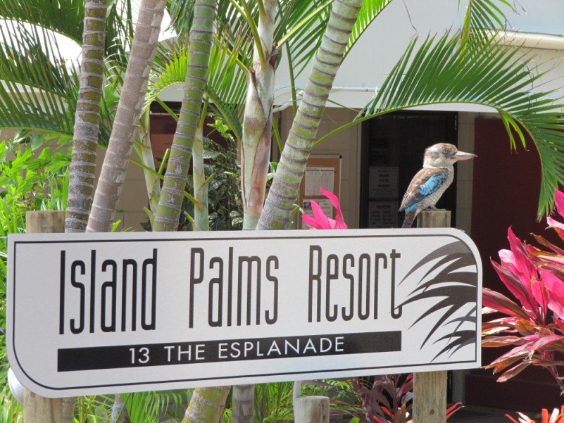 island-palms-gallery-resort-resort-reception-1.jpg