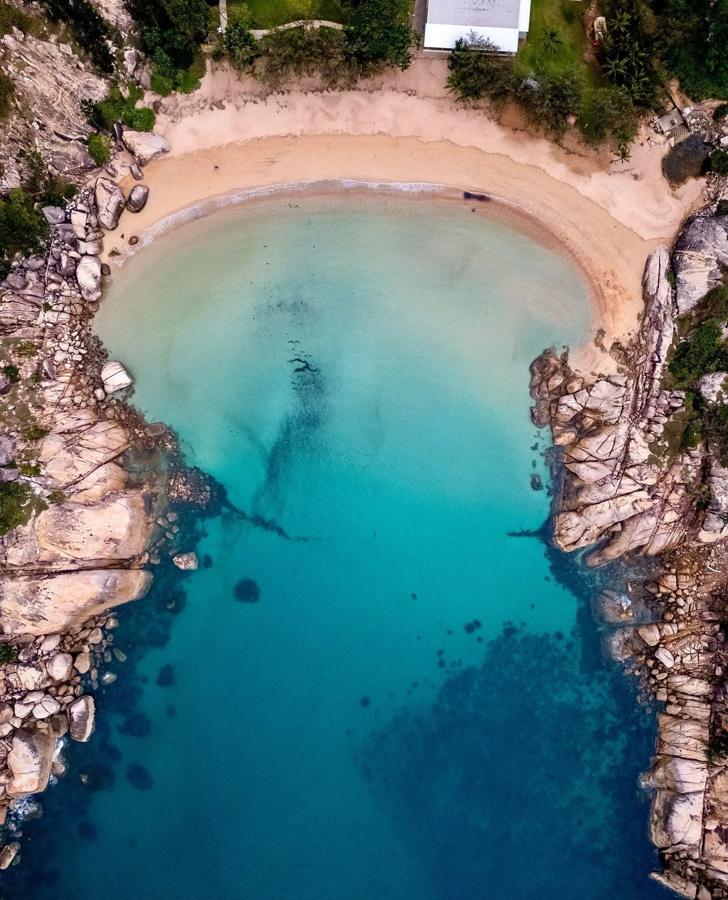 Checking in to check out the view. If Alma Bay isn&rsquo;t on your list, here&rsquo;s why it should be:⁠
⁠
🌿 Family-friendly⁠
☀️ Shady spots to relax⁠
🏖️ Calm, protected swimming, patrolled by Arcadian SLSC⁠
🐠 Coral gardens with marine life to dis