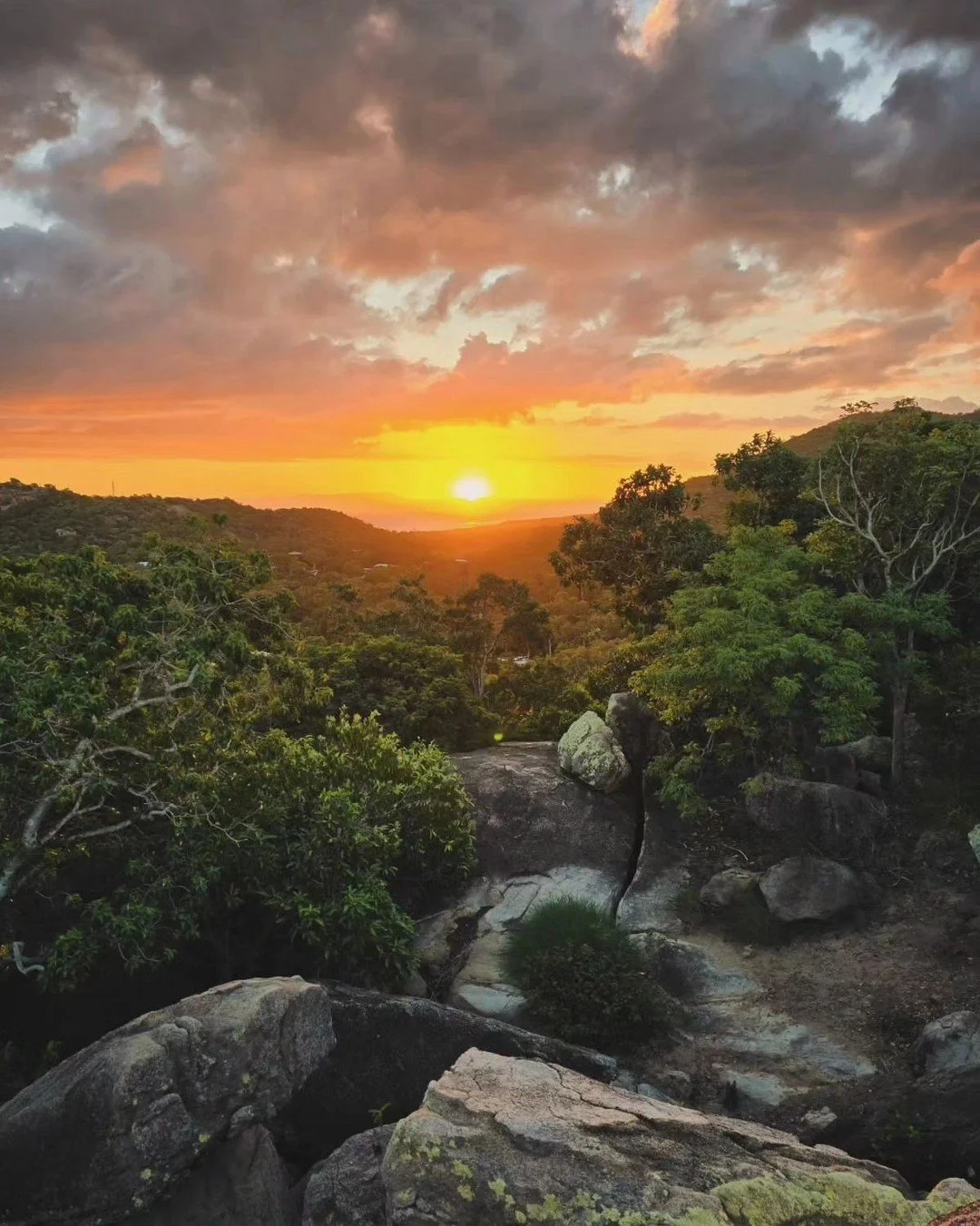 Cheers to some of the best sunsets we’ve ever seen 🌅✨
Top 3 spots? 
Horseshoe Bay: easy.
West Point: moderate.
Sail Rock: hard.
You choose the level of adventure… we promise you won’t be disappointed!
📷️ @hey_its_hann