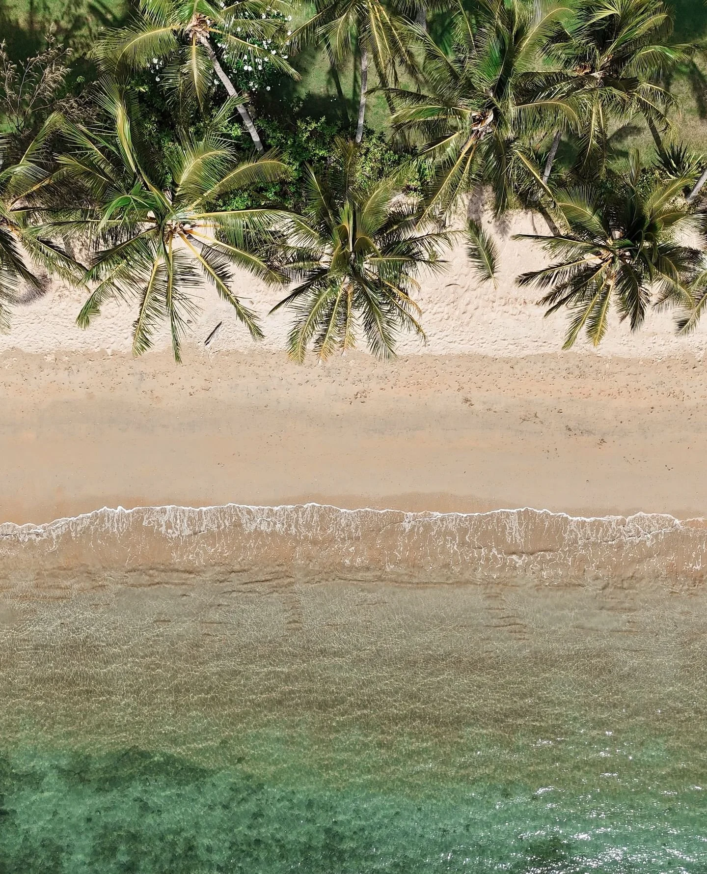 If you&rsquo;re lucky enough to be out of office on Maggie, welcome! And if you&rsquo;re not&hellip; well, this is November. We&rsquo;re ready for you! 🌴⁠
⁠
📷️ @kelseymlaguna⁠
⁠
#thisismagneticisland #upforunexpected #magneticisland #townsvillenort