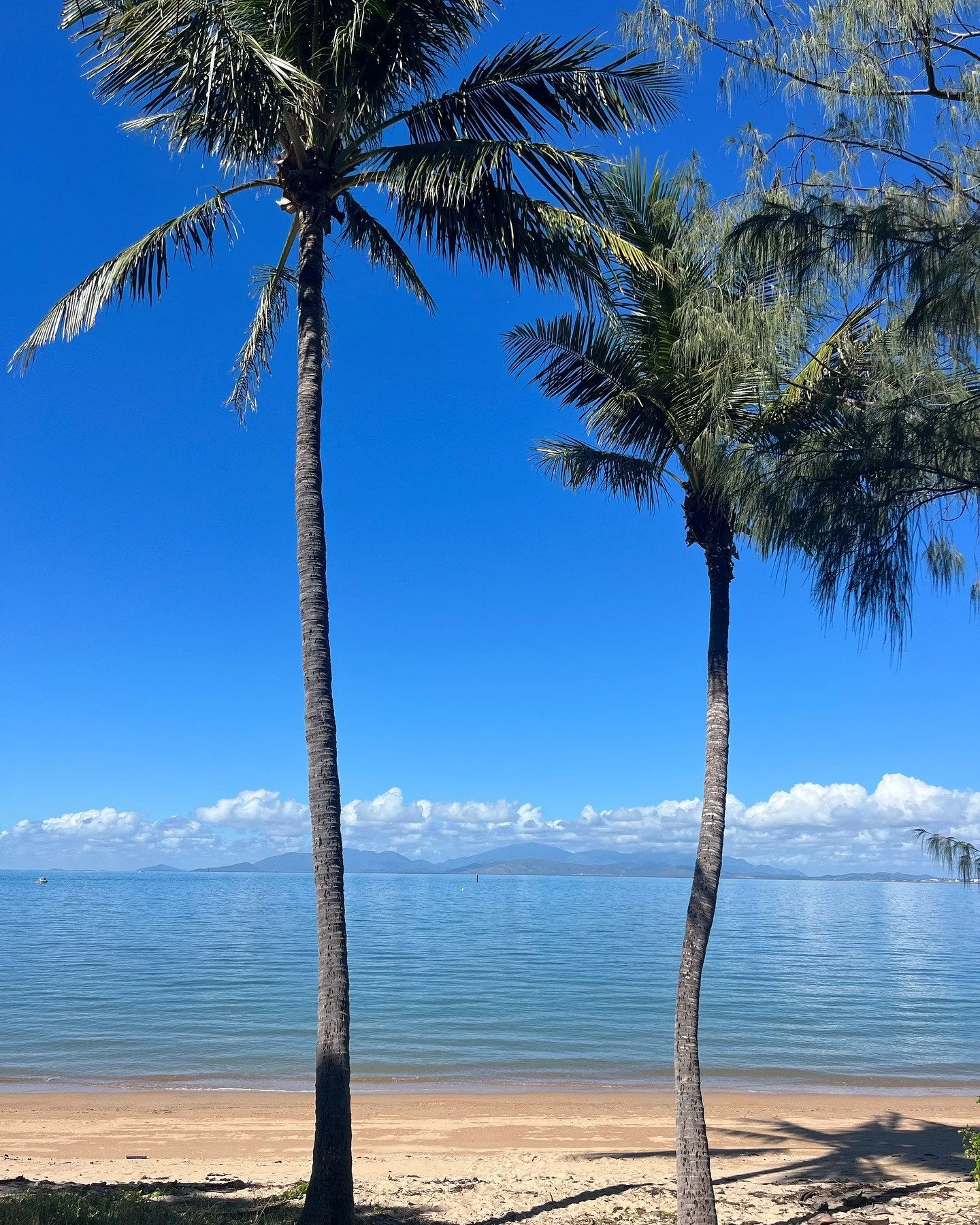 Pick a bay to start the day&hellip; and today, it&rsquo;s Nelly Bay.⁠
⁠
Mornings here are made for easy starts. Grab a coffee from Tiny Palm Coffee in Nelly Bay, then wander the esplanade under the palms, soaking up ocean views and that quiet island 