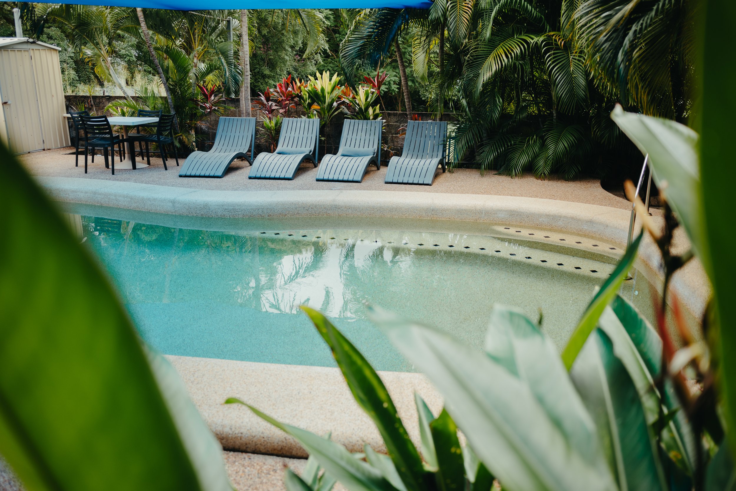 Tropical Palms Resort and 4WD Hire