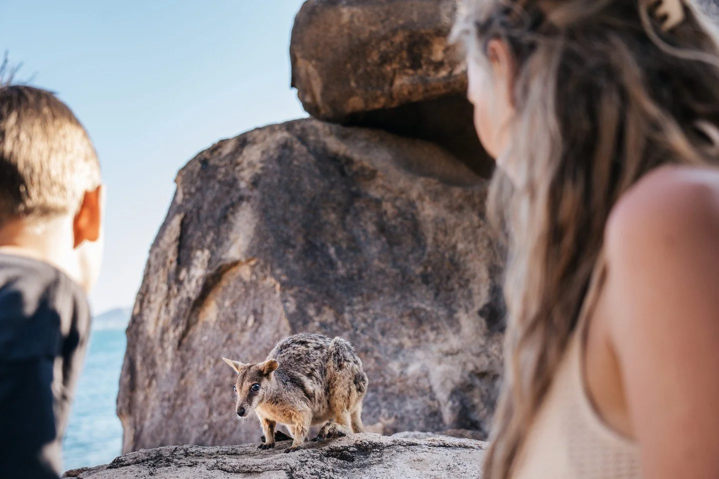 School Holidays on Magnetic Island 2/7: Wildlife Spotting 🐨🦘⁠
⁠
Koalas snoozing in the eucalyptus trees, rock wallabies hopping across the rocks, Magnetic Island is full of wildlife magic.⁠
⁠
Our local tip: grab the kids&rsquo; scooters or bikes an