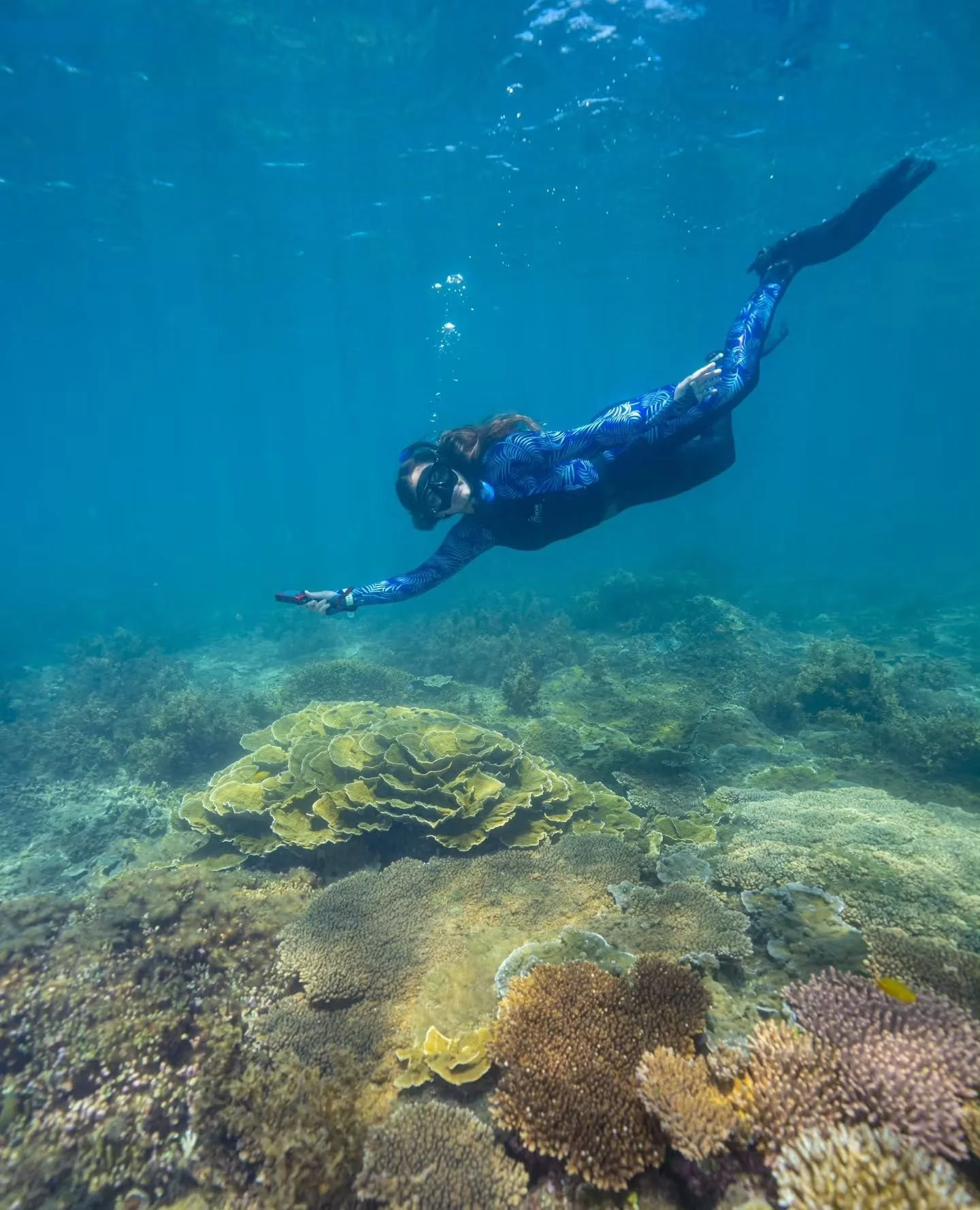 School Holidays on Magnetic Island 3/7: Snorkel Straight Off the Beach 🤿⁠
⁠
No boat? No problem! Lots of Maggie&rsquo;s fringing reefs are accessible from our beaches. Grab your snorkel gear or hire locally and explore the calm, clear shallows at Ge