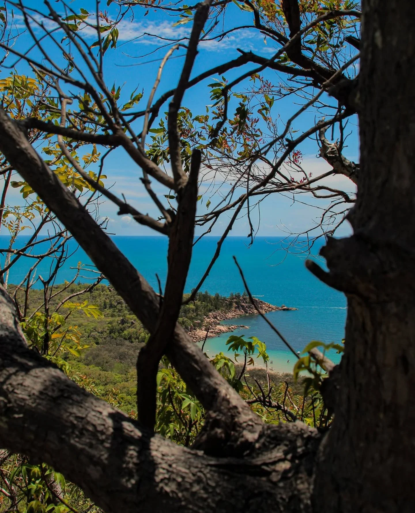 Name that bay 👀⁠
⁠
A favourite for boaties.⁠
One of our best accessible reefs.⁠
No cars allowed&hellip; but that might be going to change.⁠
⁠
Nestled between two of our most loved bays, it&rsquo;s the perfect spot for long, slow days... think picnic