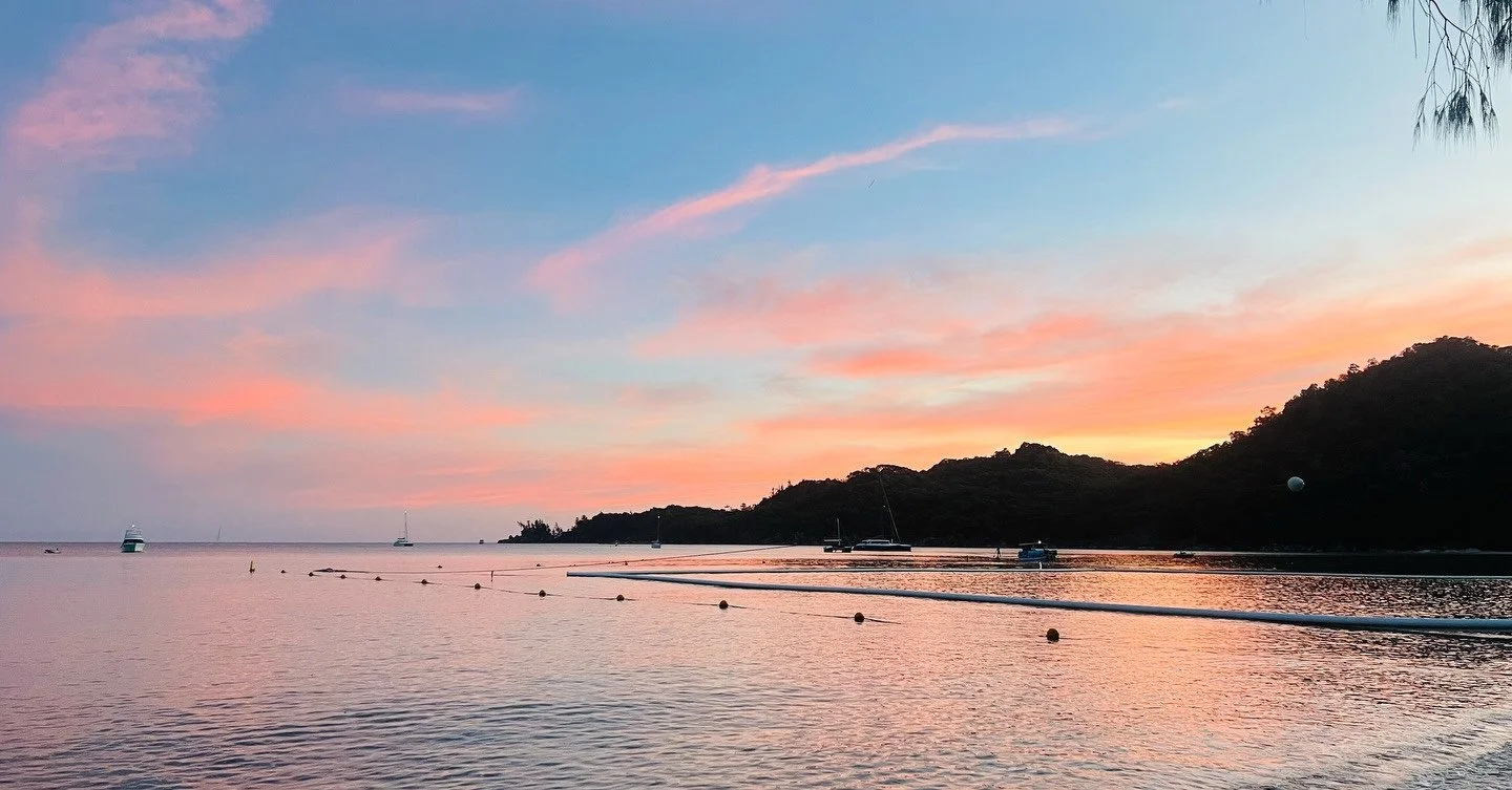 Horseshoe Bay, it&rsquo;s top of our bays, you can&rsquo;t miss it 🌴⁠
⁠
☕ Locally owned cafes and restaurants⁠
🌊 Water activities with turtle friends cruising by⁠
🏝️ The Horseshoe Bay lagoon⁠
🥾 Treks into Balding Bay and Radical Bay⁠
🛹 The skate