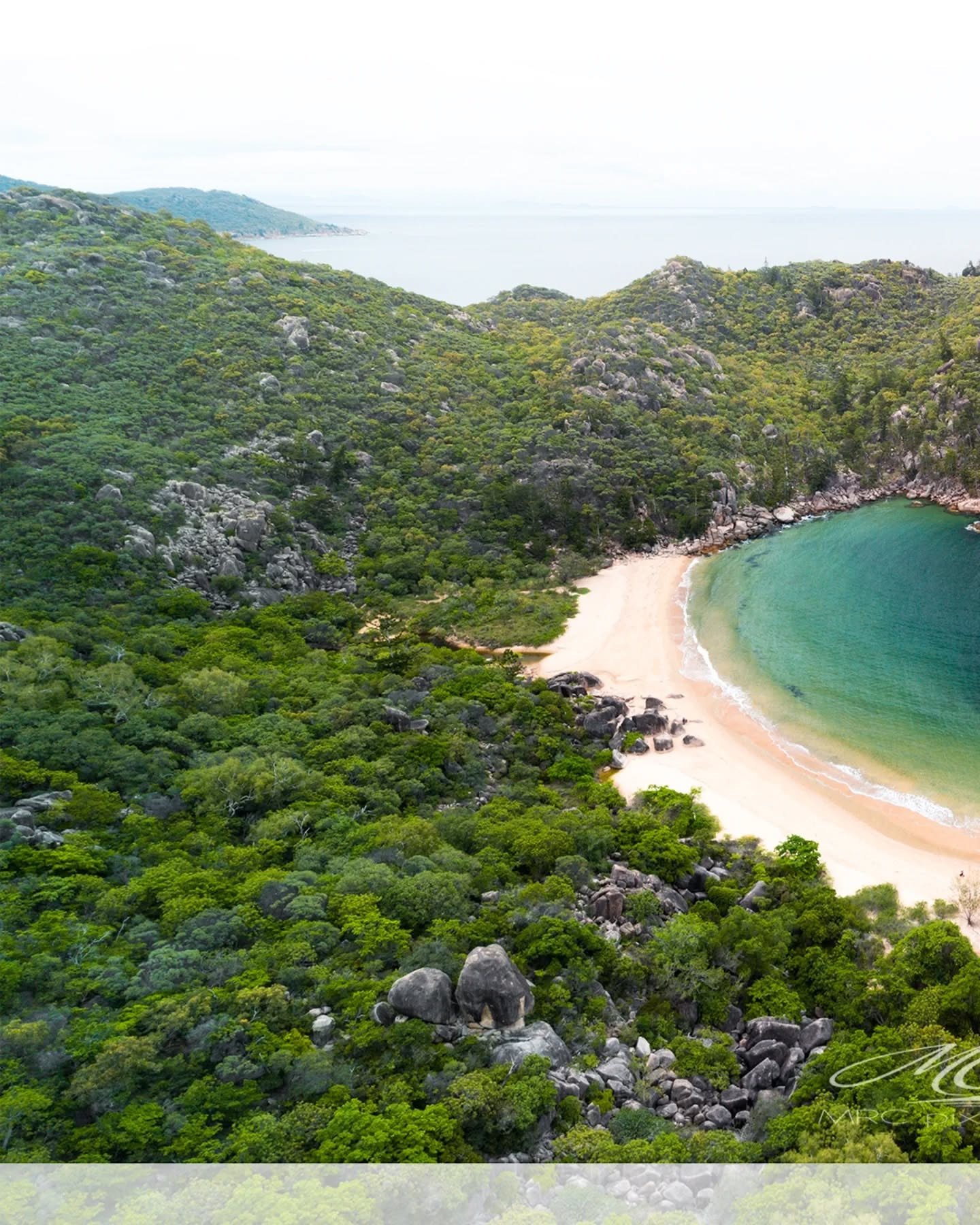 We might've lost Origin, but we're still winning where it counts... the cutest wildlife, iconic granite headlands, beautiful beaches, and the ultimate island vibe 🙌🏻⁠
⁠
📷️ @mrc.pixel.photo⁠
⁠
#thisismagneticisland #magneticisland #townsvillenorthq