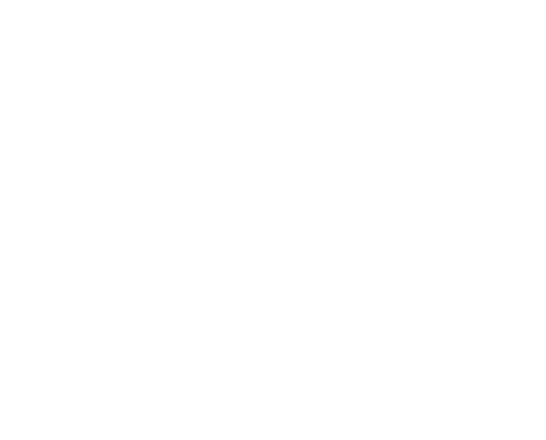 The Ugly Cowboys