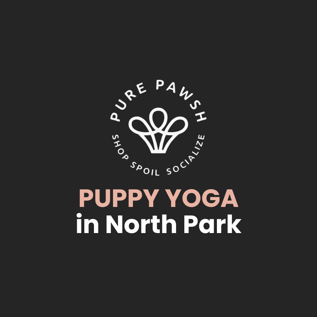 Pure Pawsh (Puppy Yoga) - North Park