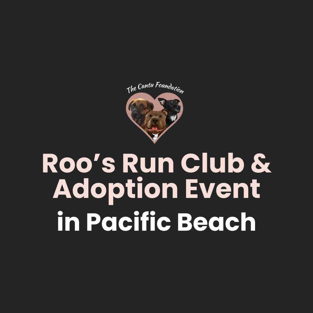 Roo’s Run Club at LSKD - Pacific Beach