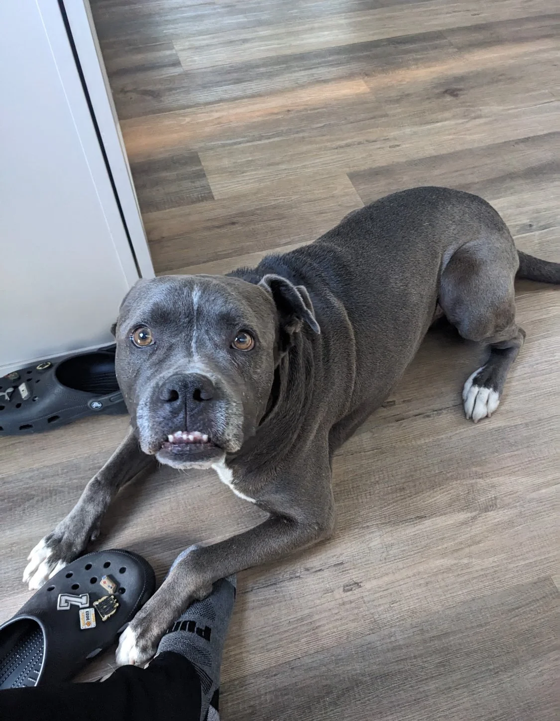 Tyson