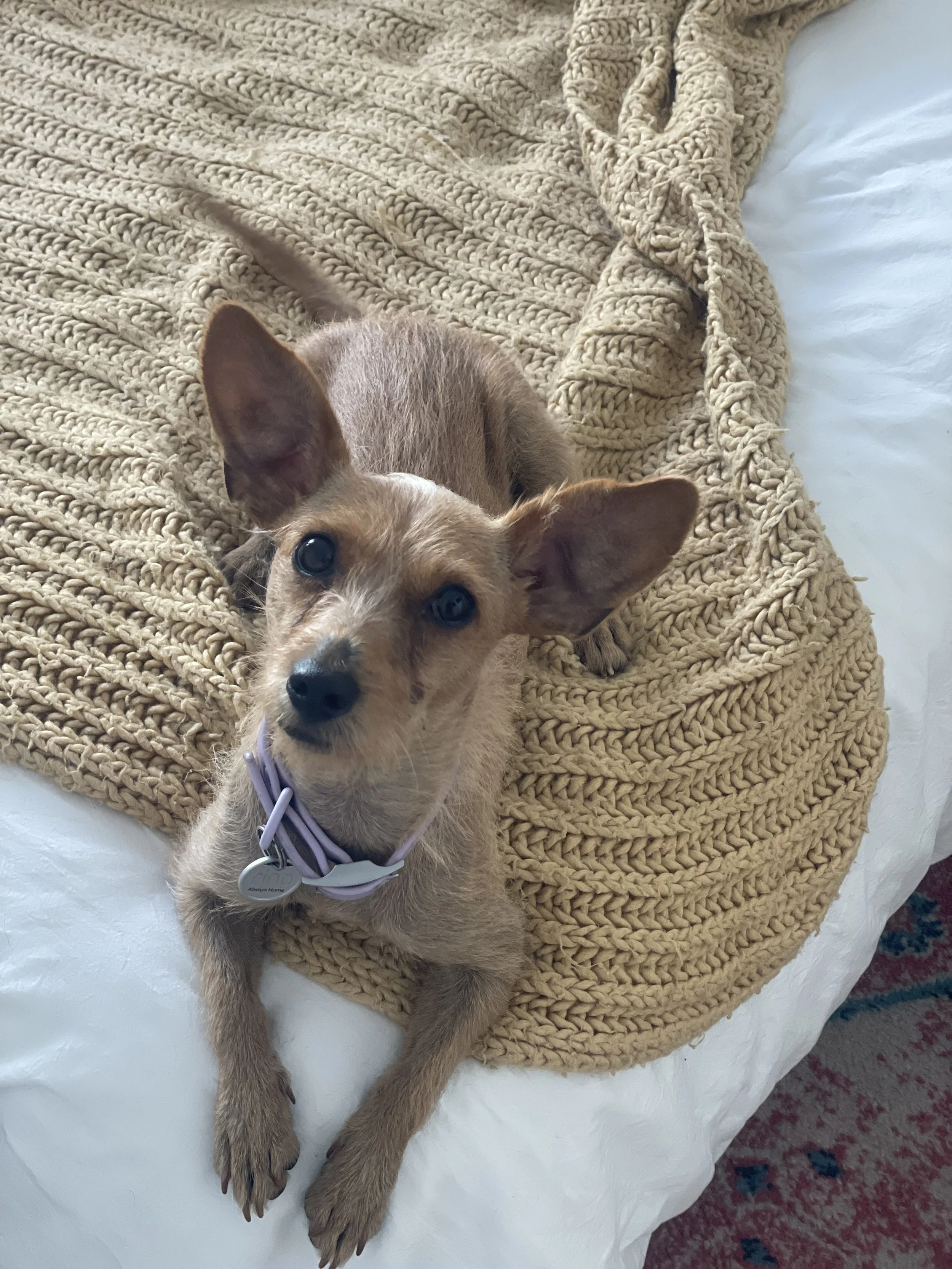 Winnie