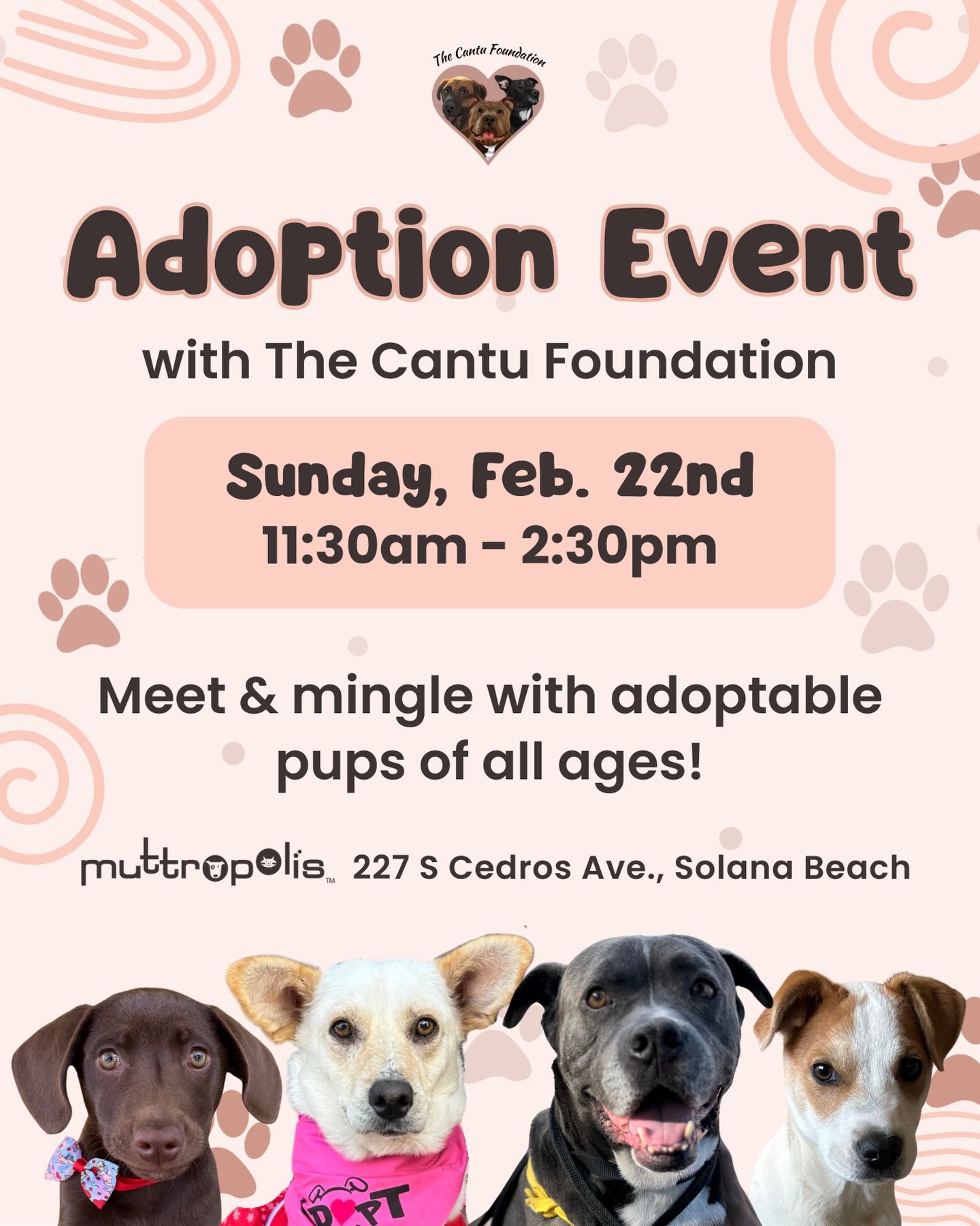 Ready to find your new best friend? 🐶

The Cantu Foundation is bringing adoptable dogs to Muttropolis this Sunday! Come by, say hi, and spend time with pups who are ready for a fresh start. 

📍 Muttropolis - Solana Beach
🗓️ Sunday, Feb. 22
⏰ 11:30