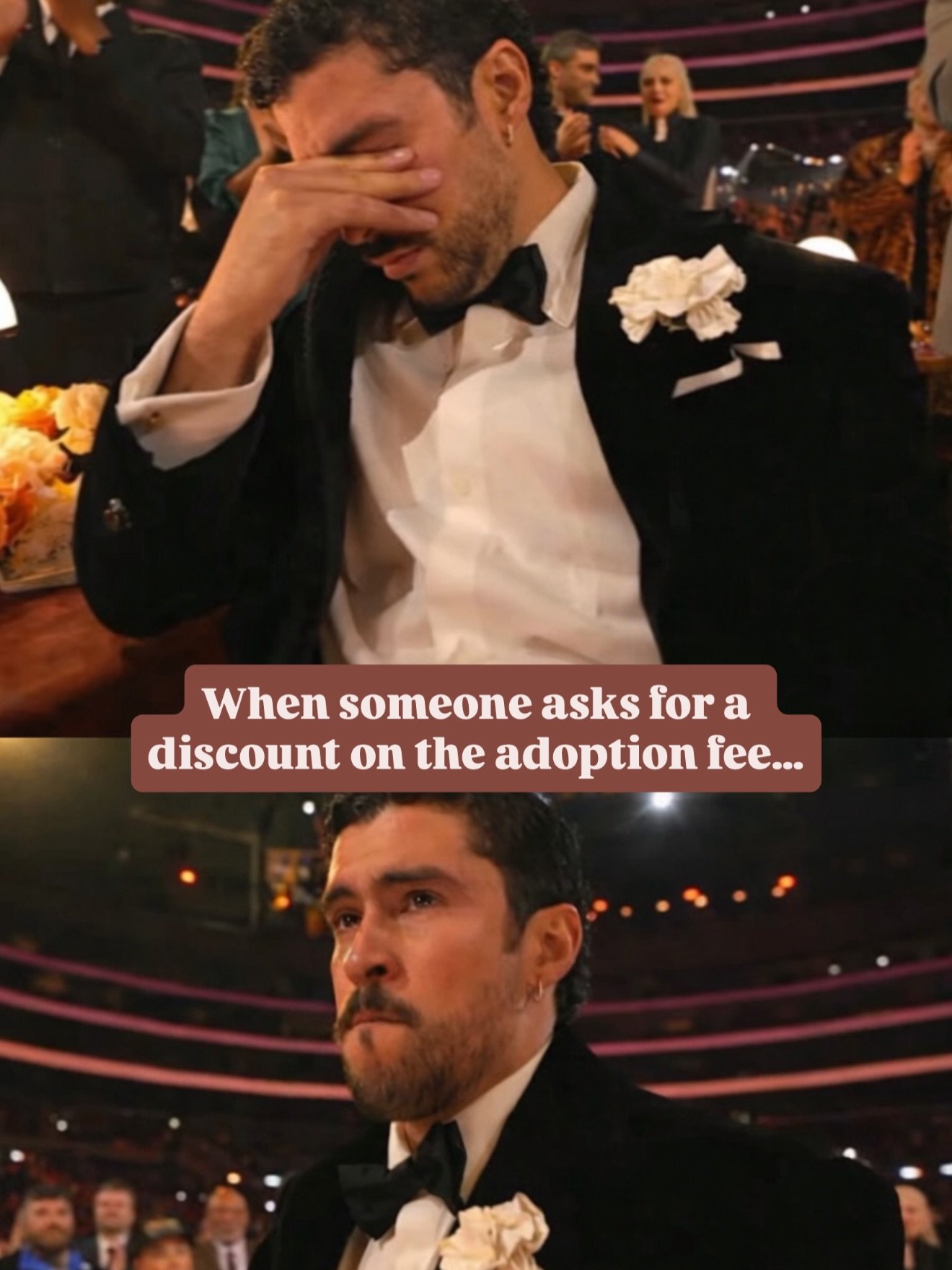 Bad Bunny gave us Album of the Year. Rescue gave us the content. Running a dog rescue is 80% emotions and 20% trying to stay calm. Which slide is your favorite? #fostering #sandiego #fostertales