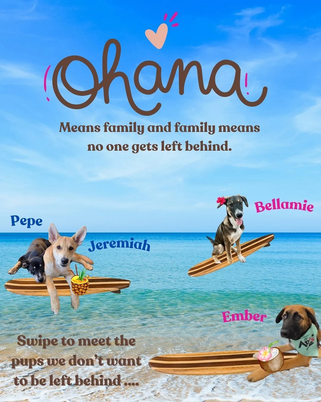 Ohana means family 🐾 and family means no one gets left behind ❤️ These sweet pups are the last from their litters, still waiting for their forever homes 🏡

Meet the pups:

Pepe and Jeremiah (Love Island litter) 🐕 Husky Lab Shepherd mixes 🎂 Born M