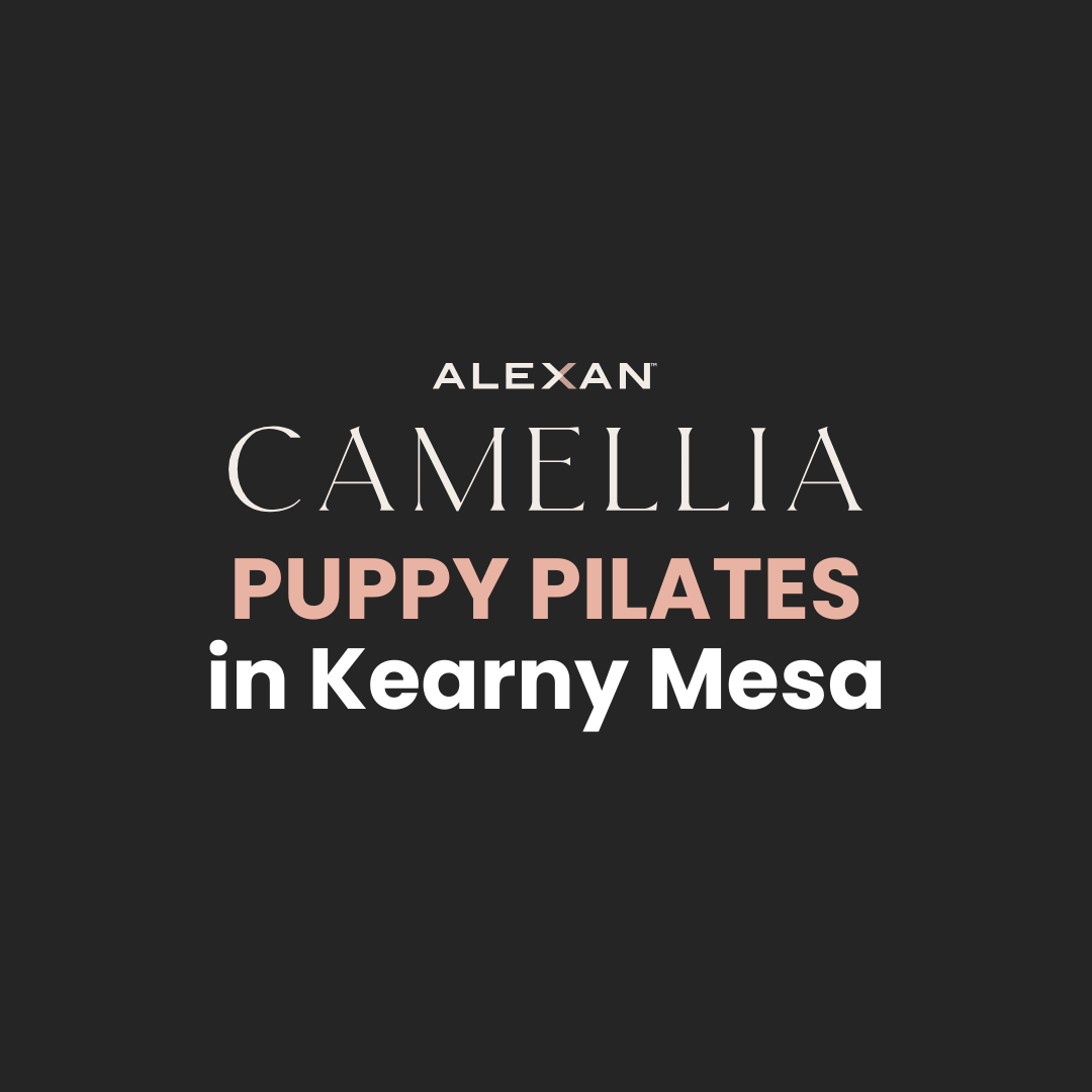 Alexan Camellia Apartments - Kearny Mesa