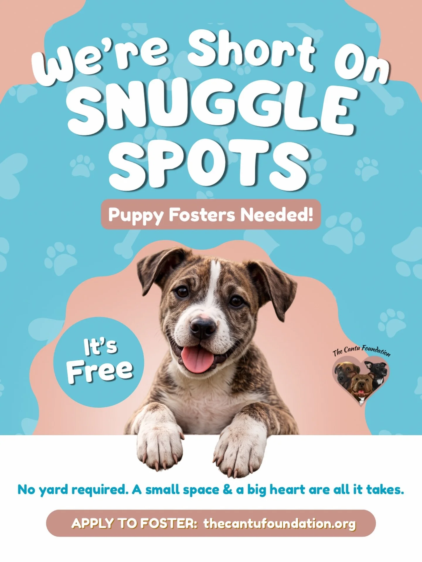 Are you in San Diego but think you can&rsquo;t foster a puppy? Read this first 👇

No yard? No problem. Puppies thrive with playtime + structure more than space.

Vacation planned? We&rsquo;ve got backup.

Cat at home? Most puppies adjust just fine!

