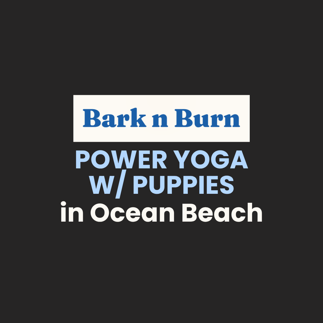 Bark n Burn Puppy Power Yoga - Ocean Beach