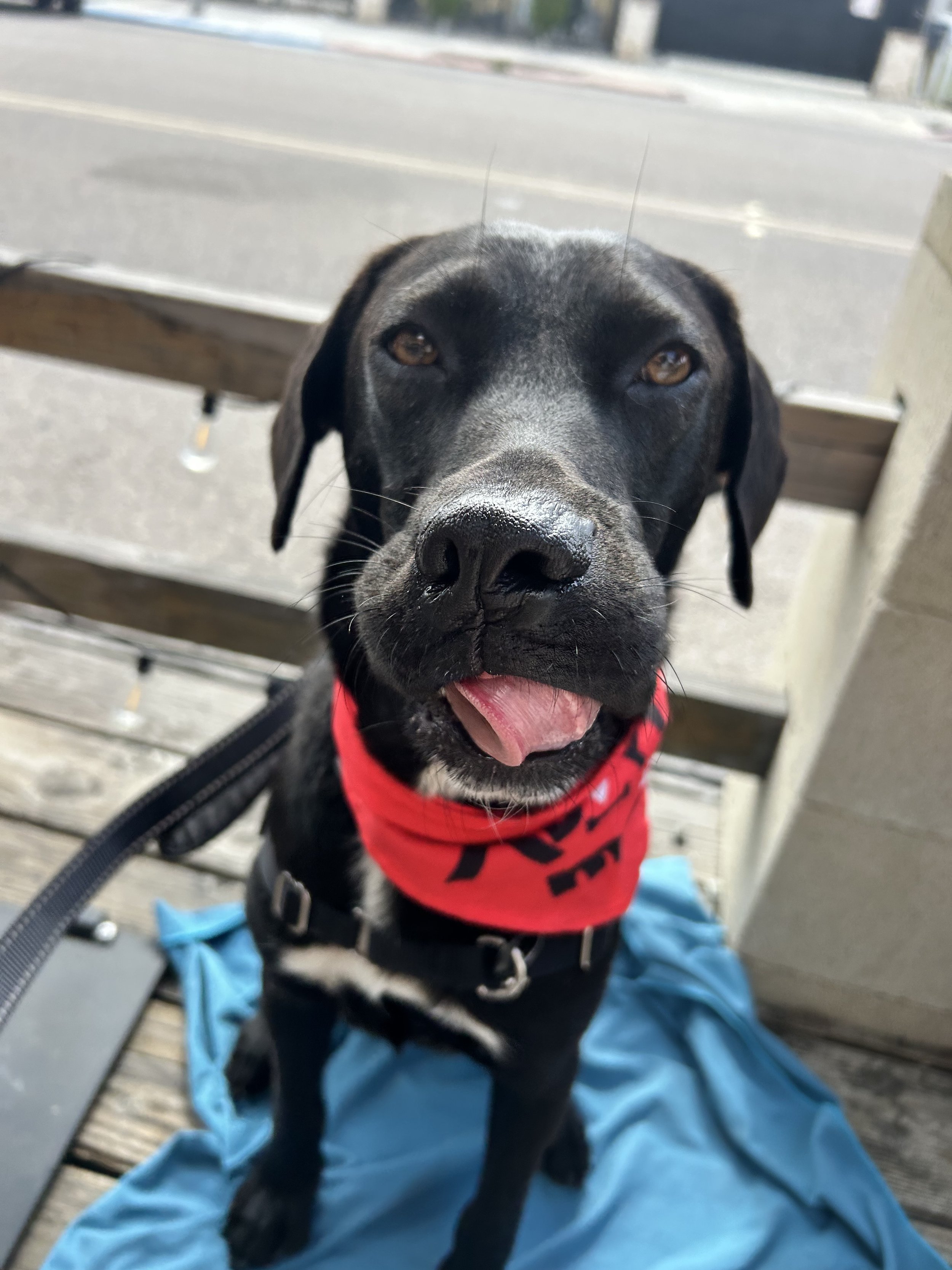 IMG_4983.jpeg