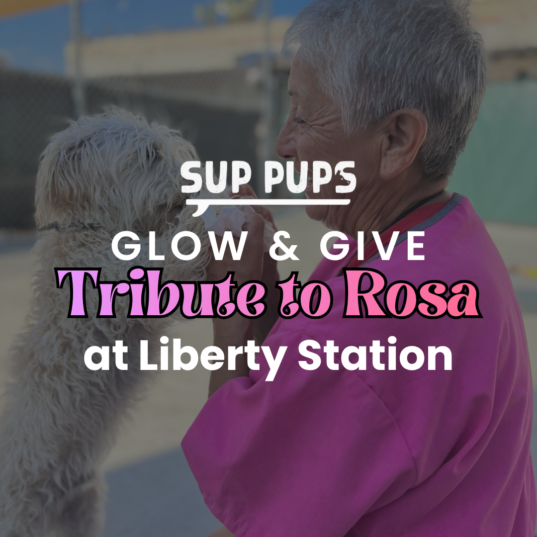 Glow & Give with Sup Pups: Tribute to Rosa - Liberty Station