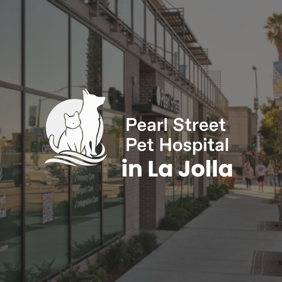 Pearl Street Pet Hospital - La Jolla