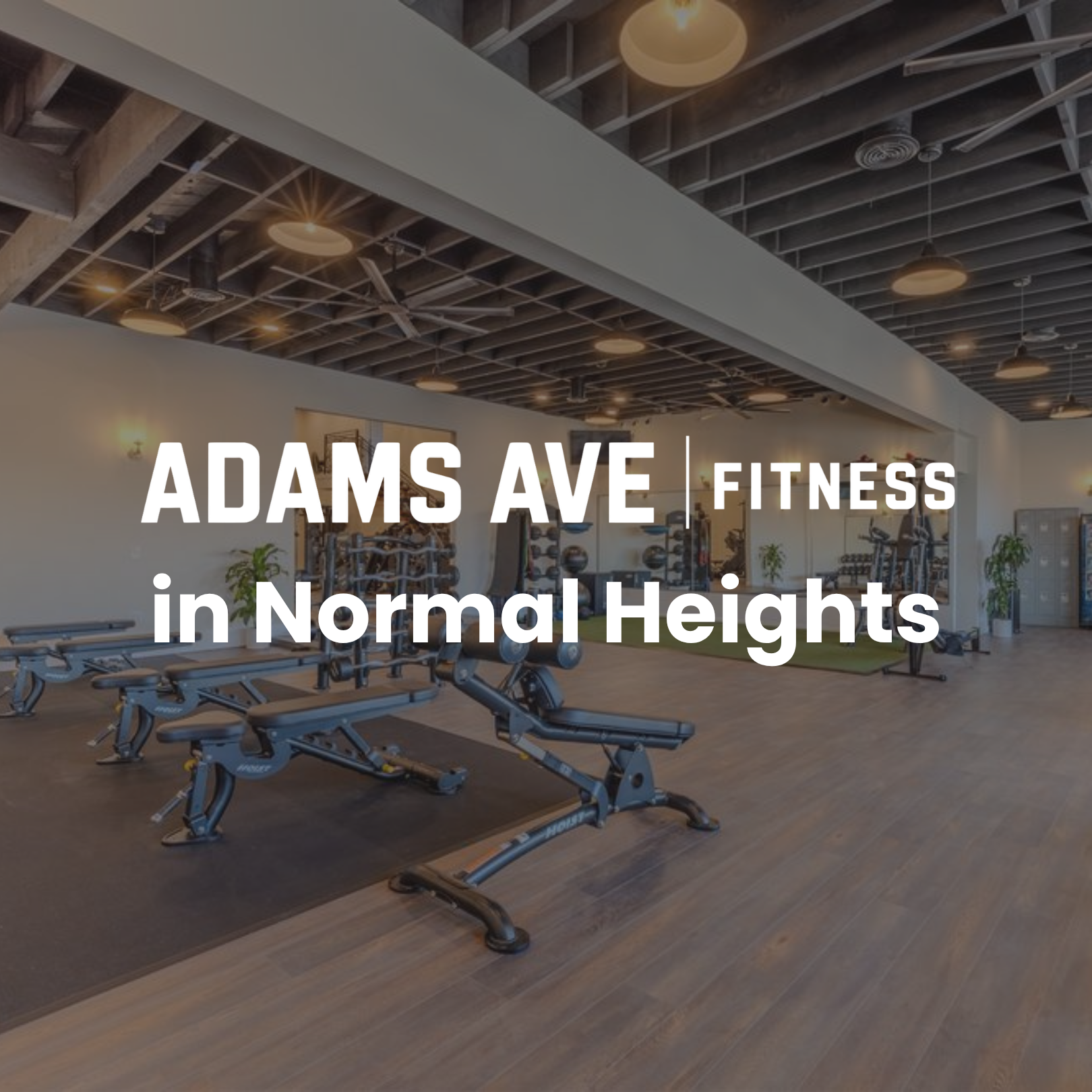Adams Ave Fitness (Yoga Fundraiser + Adoption Event) - Normal Heights