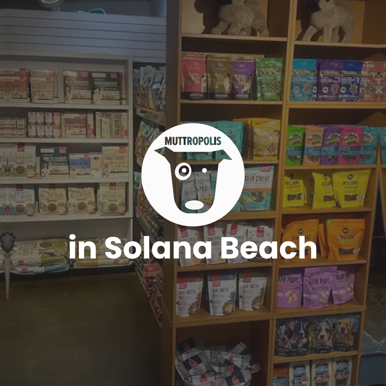 Muttropolis - Solana Beach