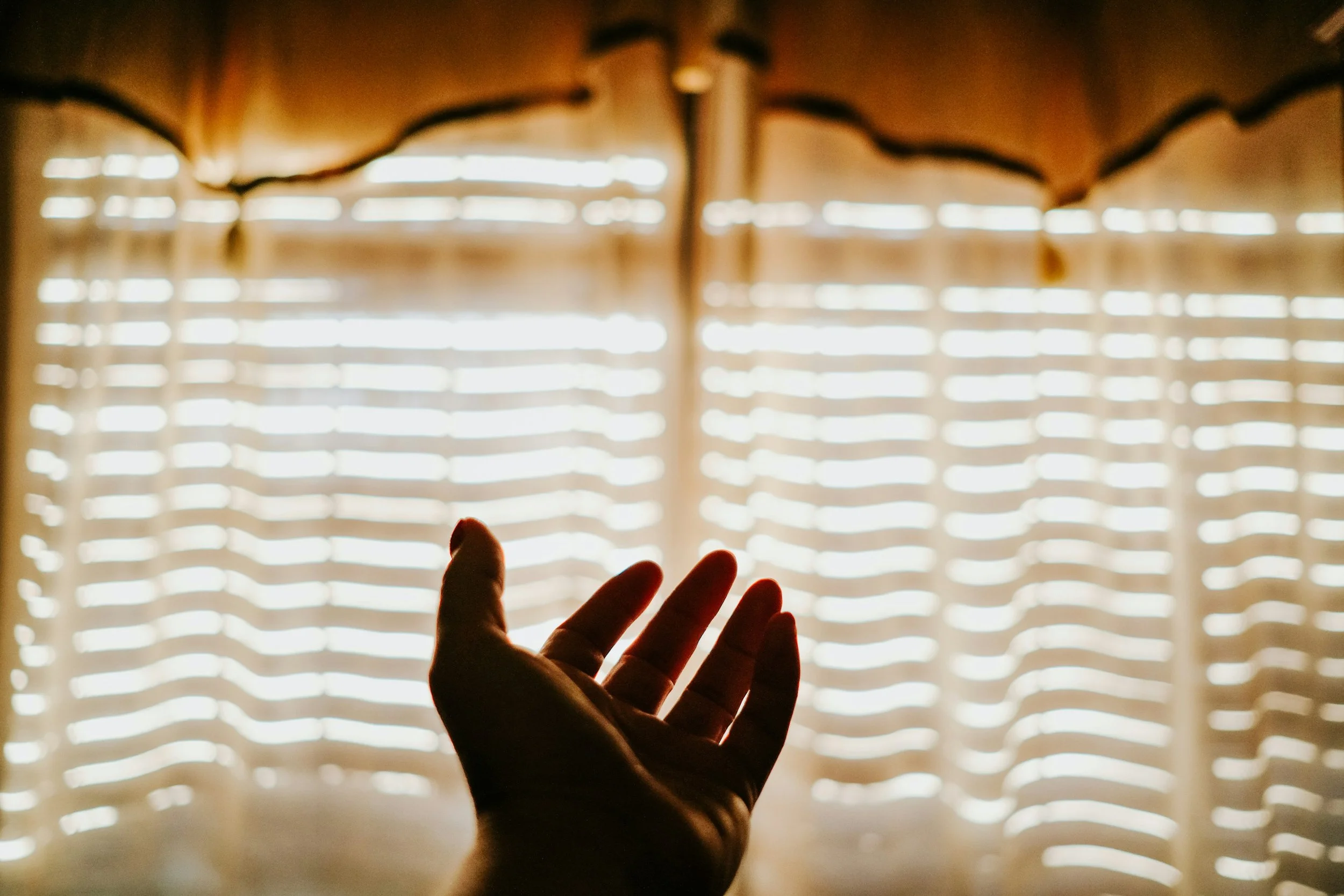 You Have the Word. You Have the Holy Spirit. Go.