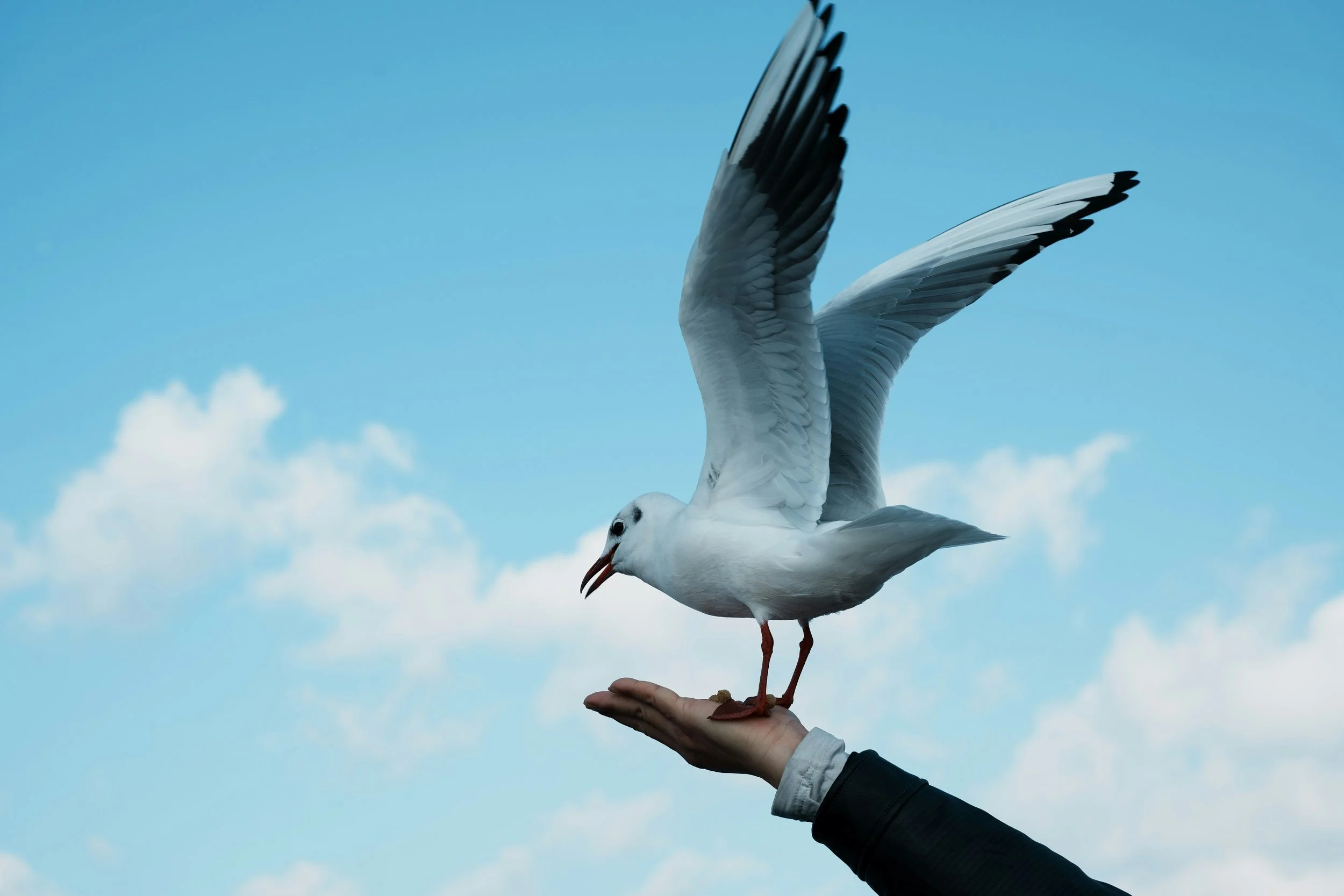 Letting Go So Others Can Lead