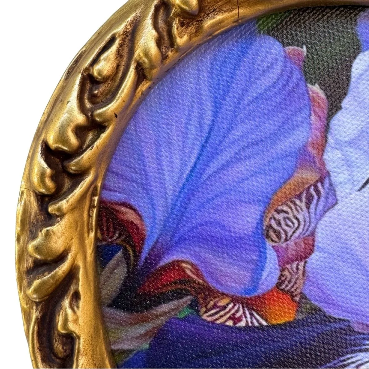 Irises.jpg