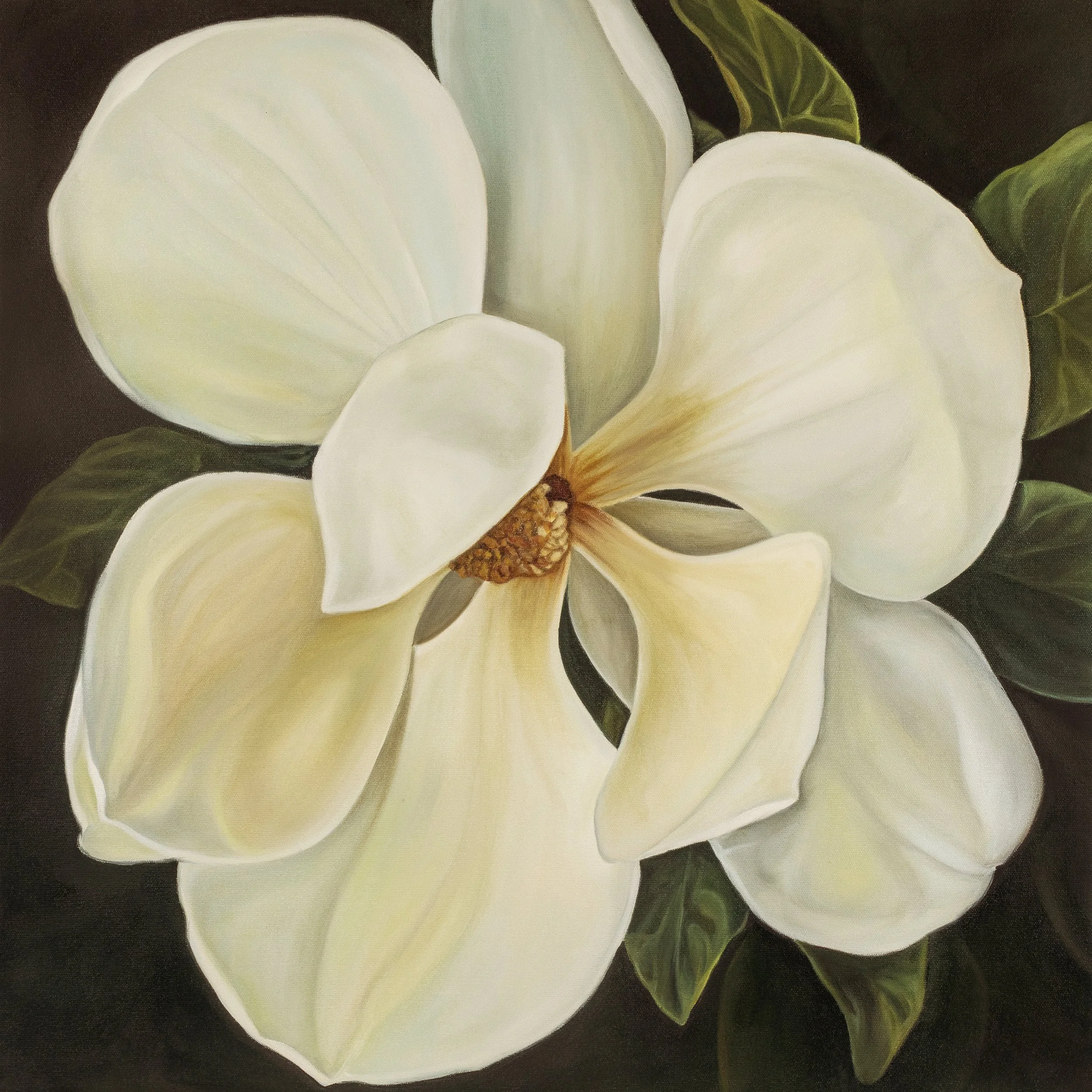Magnolia 1 by ROBYN MARKEY Art