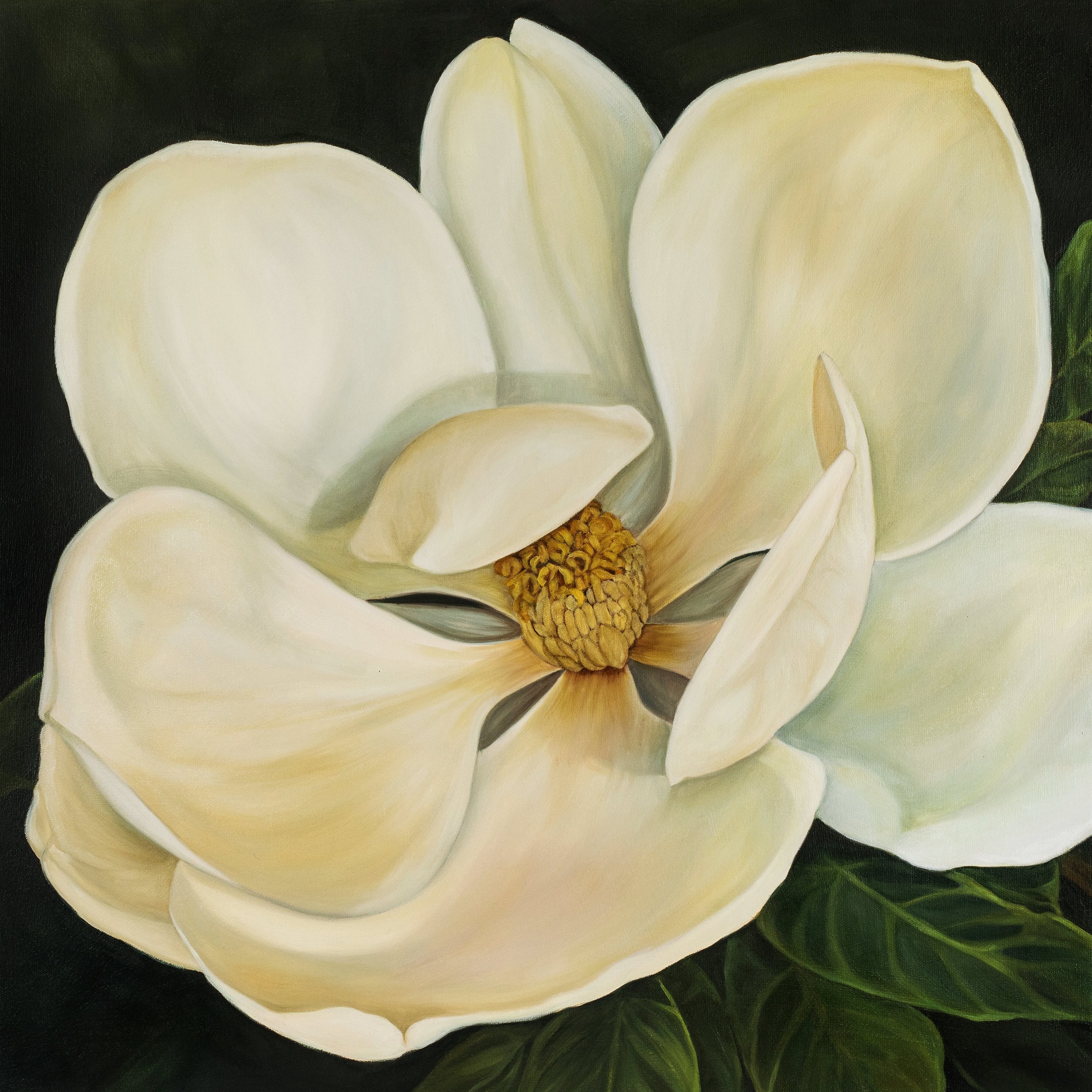 Magnolia 2 by ROBYN MARKEY Art