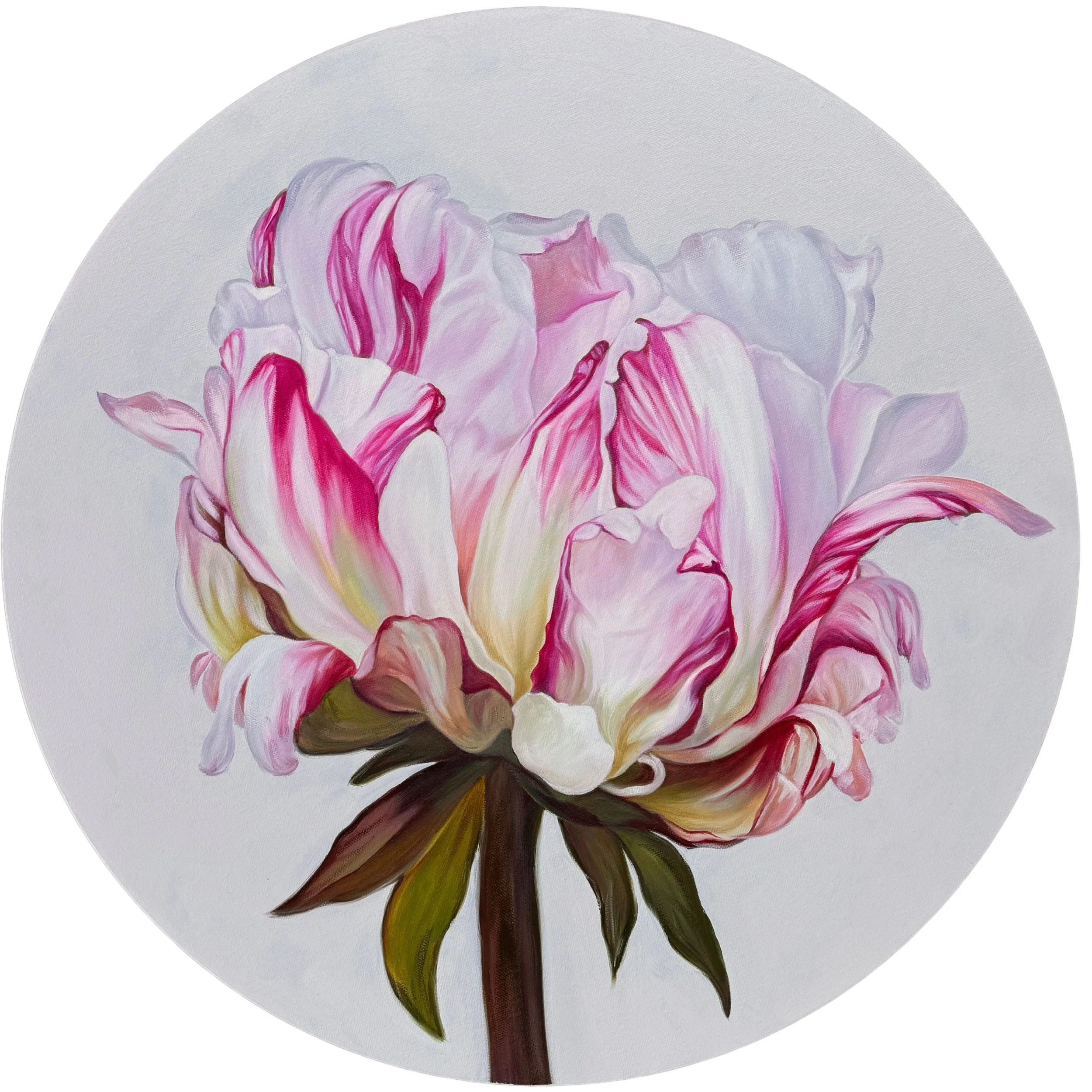 Paeonia 1 by ROBYN MARKEY Art
