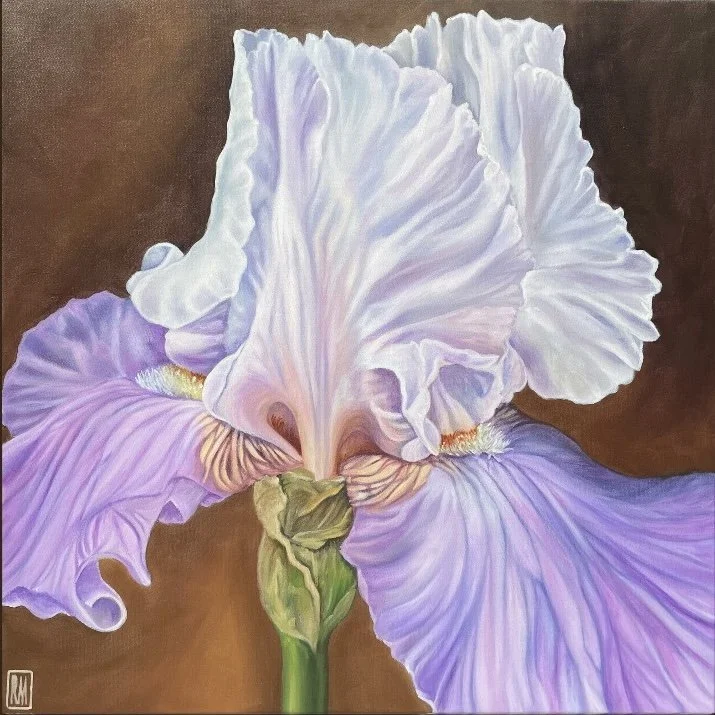 Heirloom Iris