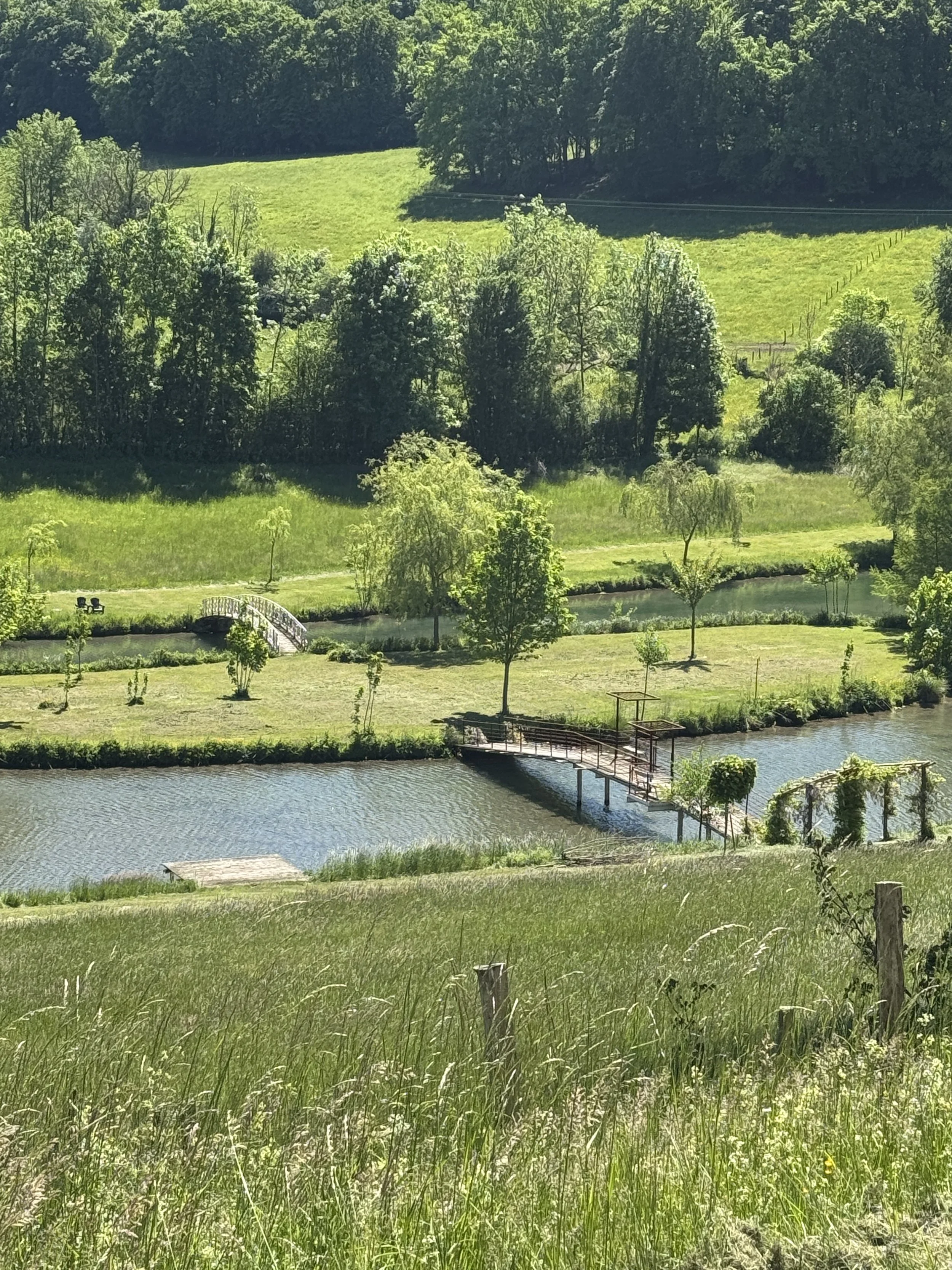 View to the lake