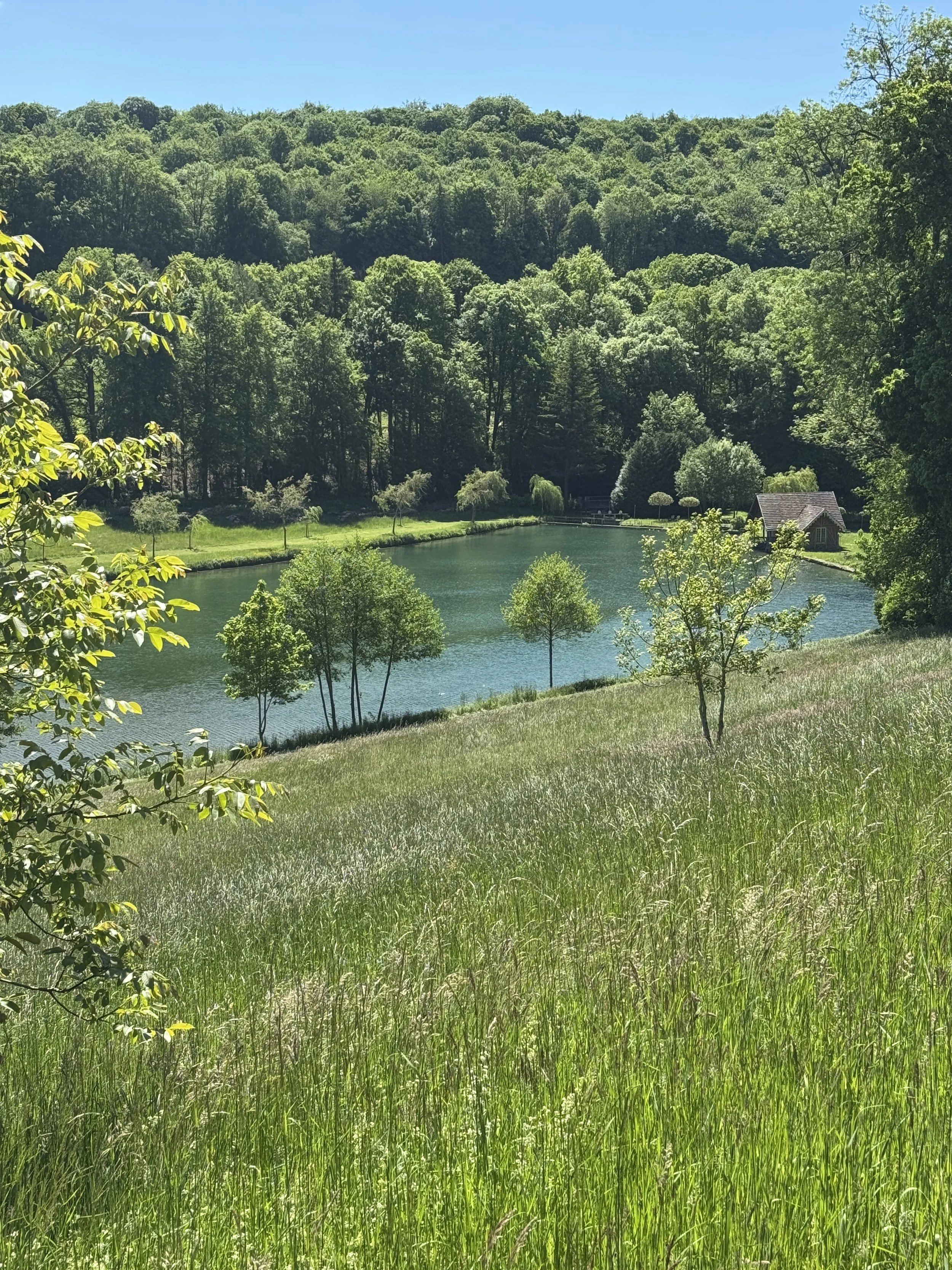 The swimming lake